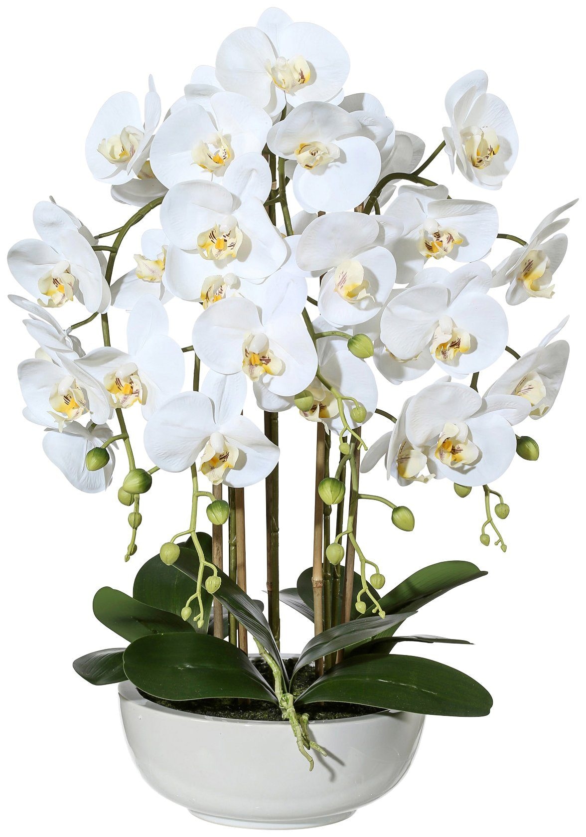 Creativ green Kunstpflanze »Orchidee Phalaenopsis«, in Keramikschale