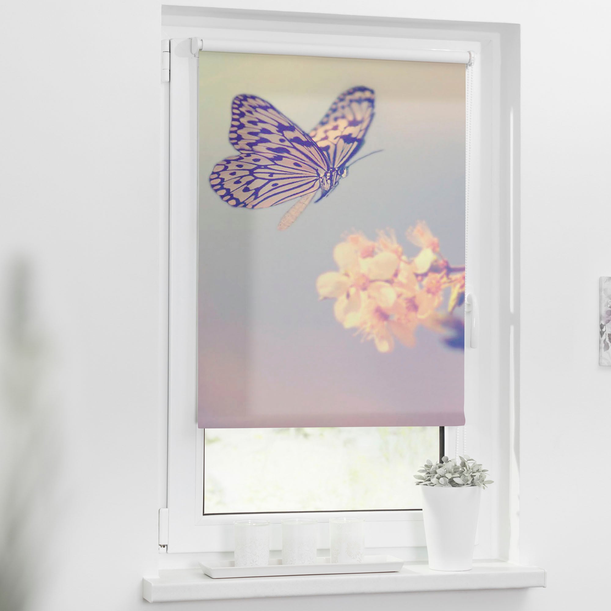 BAUR Bohren, bedruckt ORIGINAL Lichtschutz, Schmetterling«, »Klemmfix ohne LICHTBLICK freihängend, Seitenzugrollo | Motiv