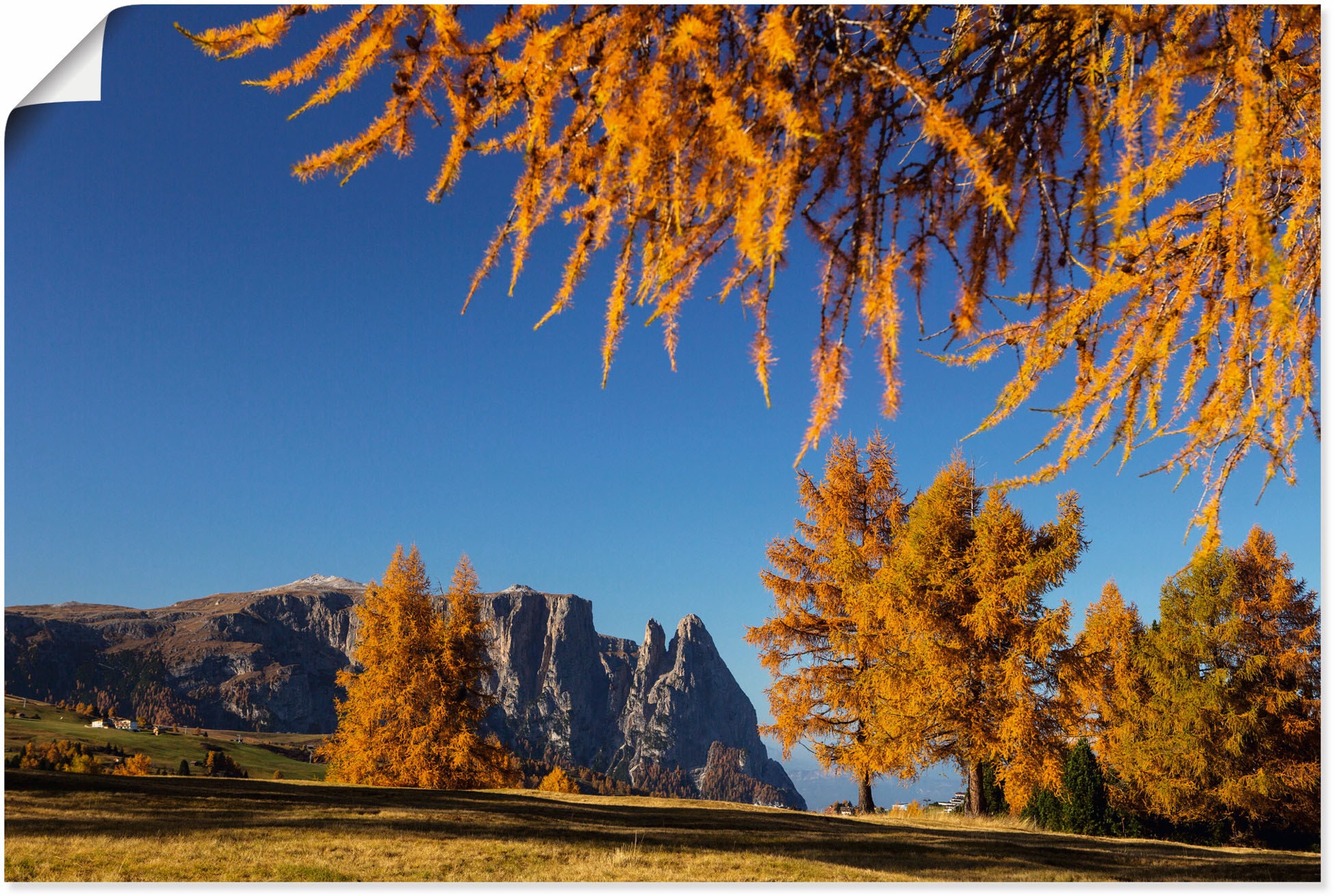 Artland Wandbild »Goldener Herbst auf der Seiser Alm«, Wiesen & Baumbilder,  (1 St.), als Alubild, Leinwandbild, Wandaufkleber oder Poster in versch.  Größen kaufen | BAUR