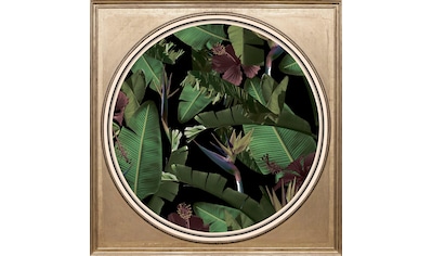 queence Acrylglasbild »Tropische Pflanzen II« kaufen
