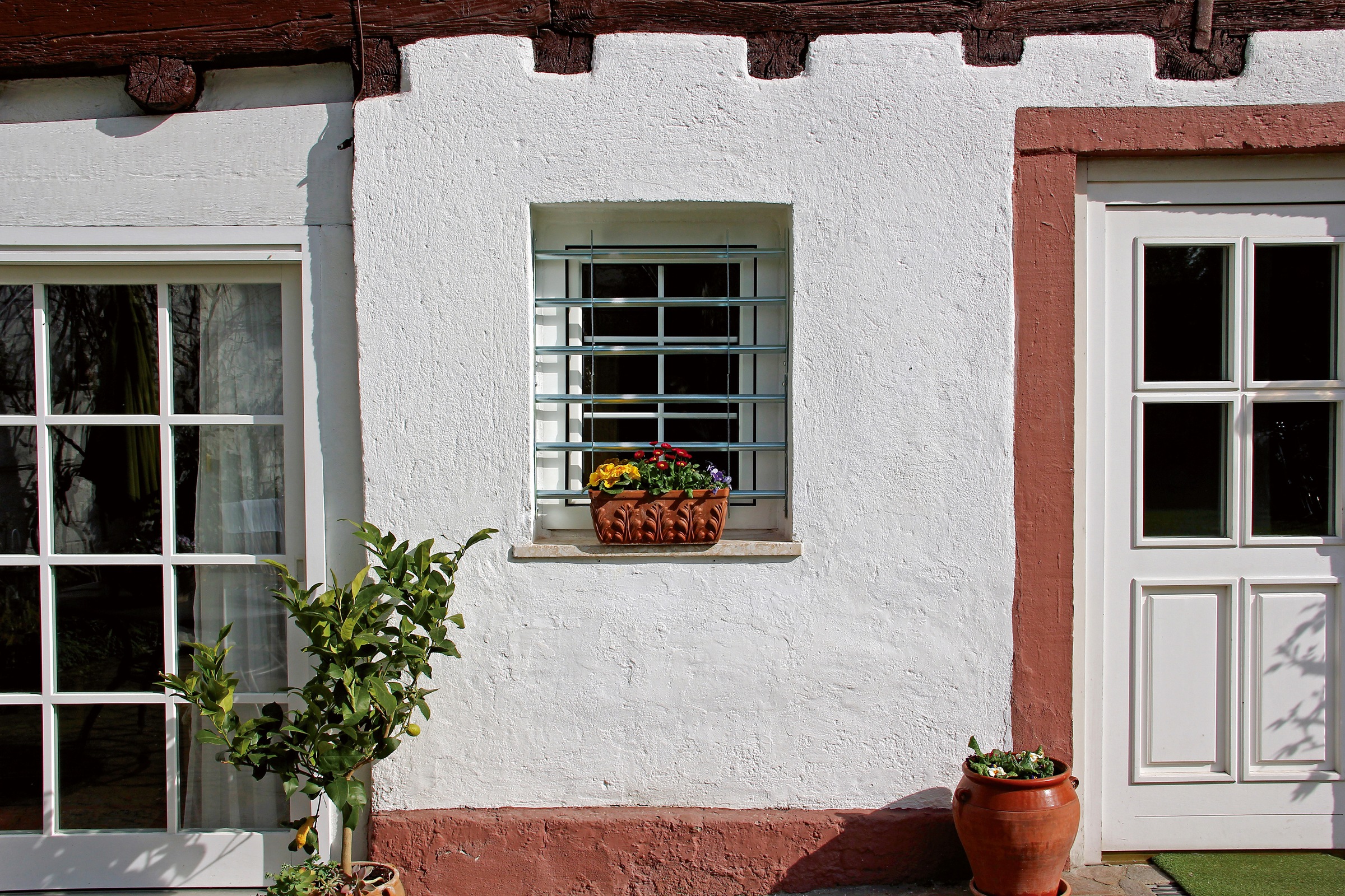 Alberts Fensterschutzgitter »Secorino Basic«, Breite: 50 - 65 cm und 70 - 105 cm, Höhe: 30 und 45 cm