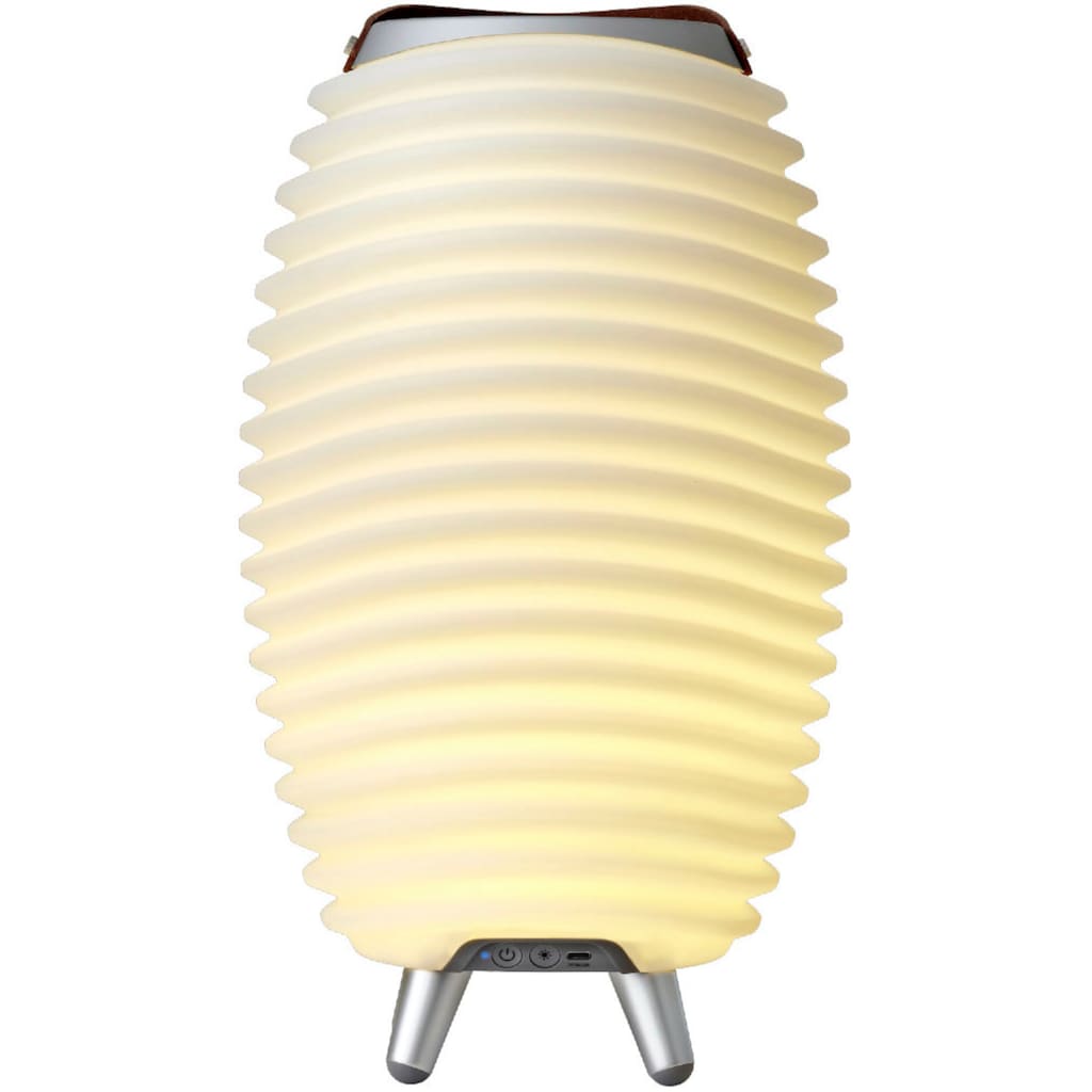 kooduu LED Stehlampe »Synergy 35«, 1 flammig-flammig