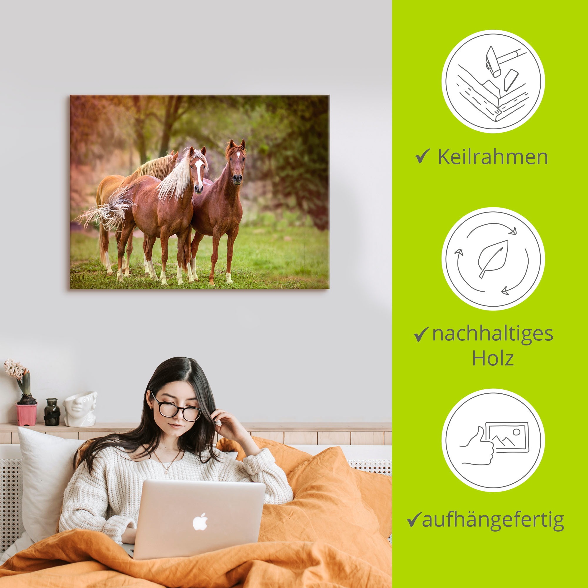 Artland Wandbild »Pferde in den Feldern I«, Haustiere, (1 St.), als Leinwandbild, Poster, Wandaufkleber in verschied. Größen