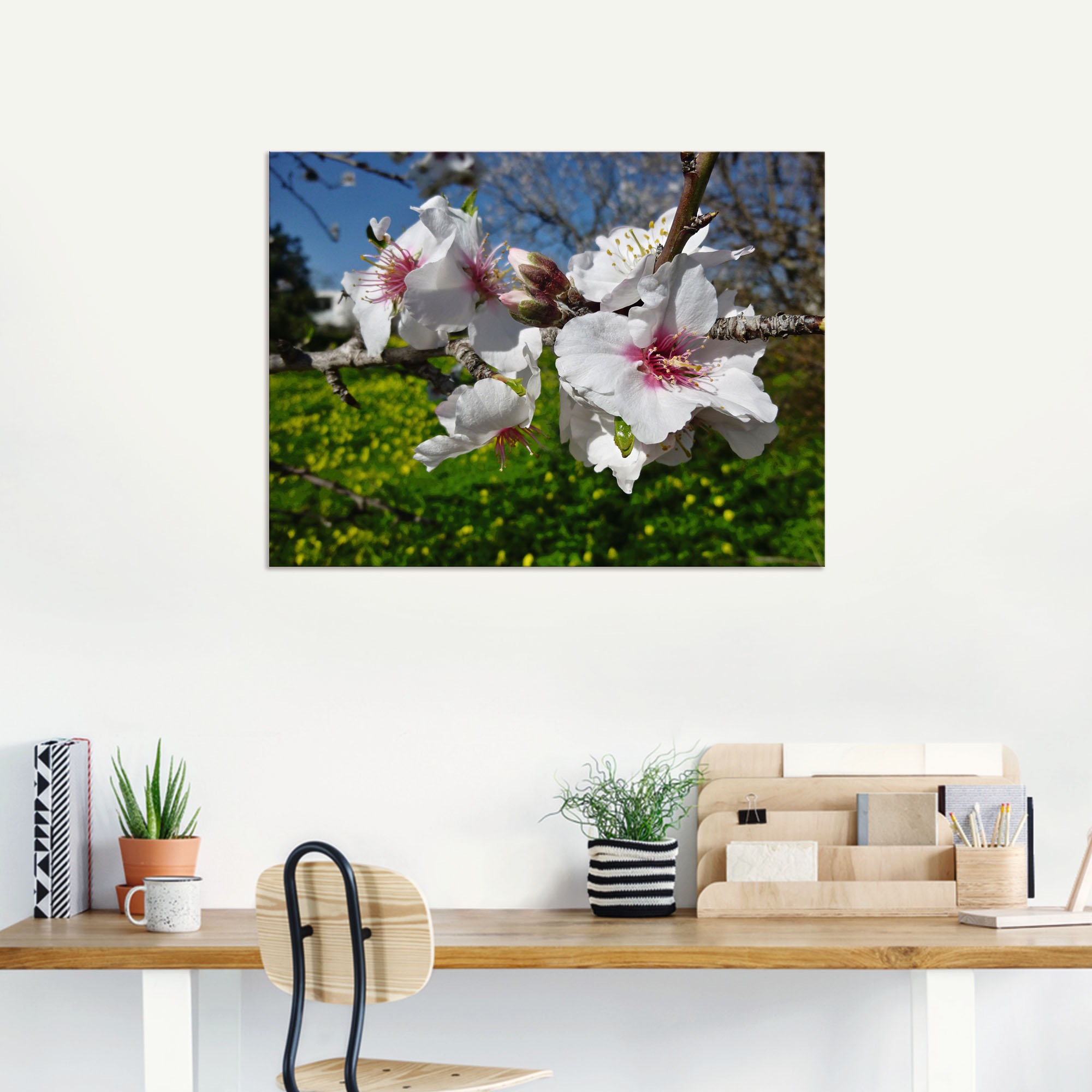 Artland Wandbild »Mandelbluete an der Algarve in Portugal«, Baumbilder, (1 St.), als Alubild, Leinwandbild, Wandaufkleber oder Poster in versch. Größen
