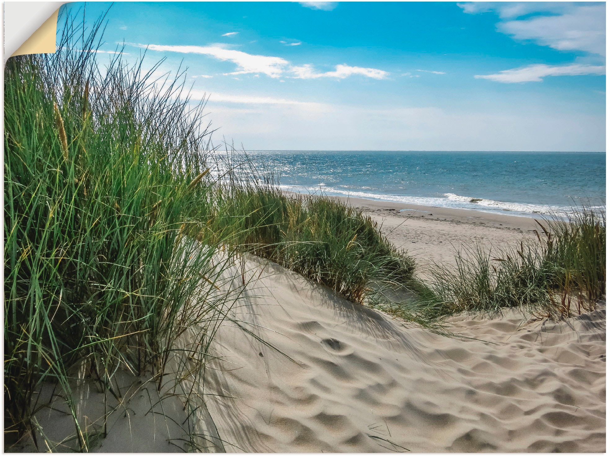 Artland Wandbild »Dünenlandschaft im Sommer an der Nordsee«, Strand, (1 St.), als Alubild, Outdoorbild, Leinwandbild, Poster, Wandaufkleber
