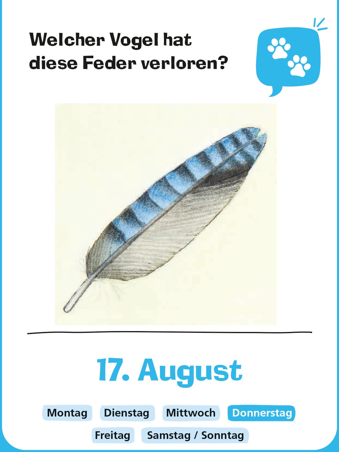 Warum Gibt Es Kalender 