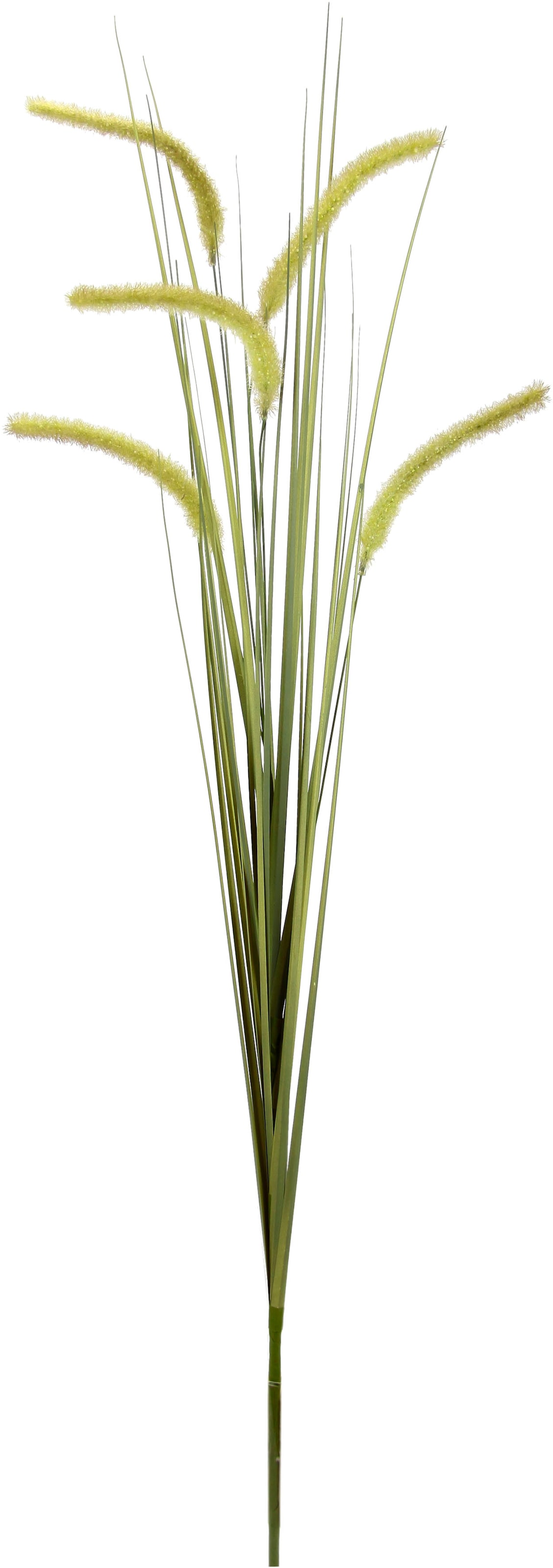 I.GE.A. Kunstblume »Fuchsschwanz«, Dekozweig, 2er Set
