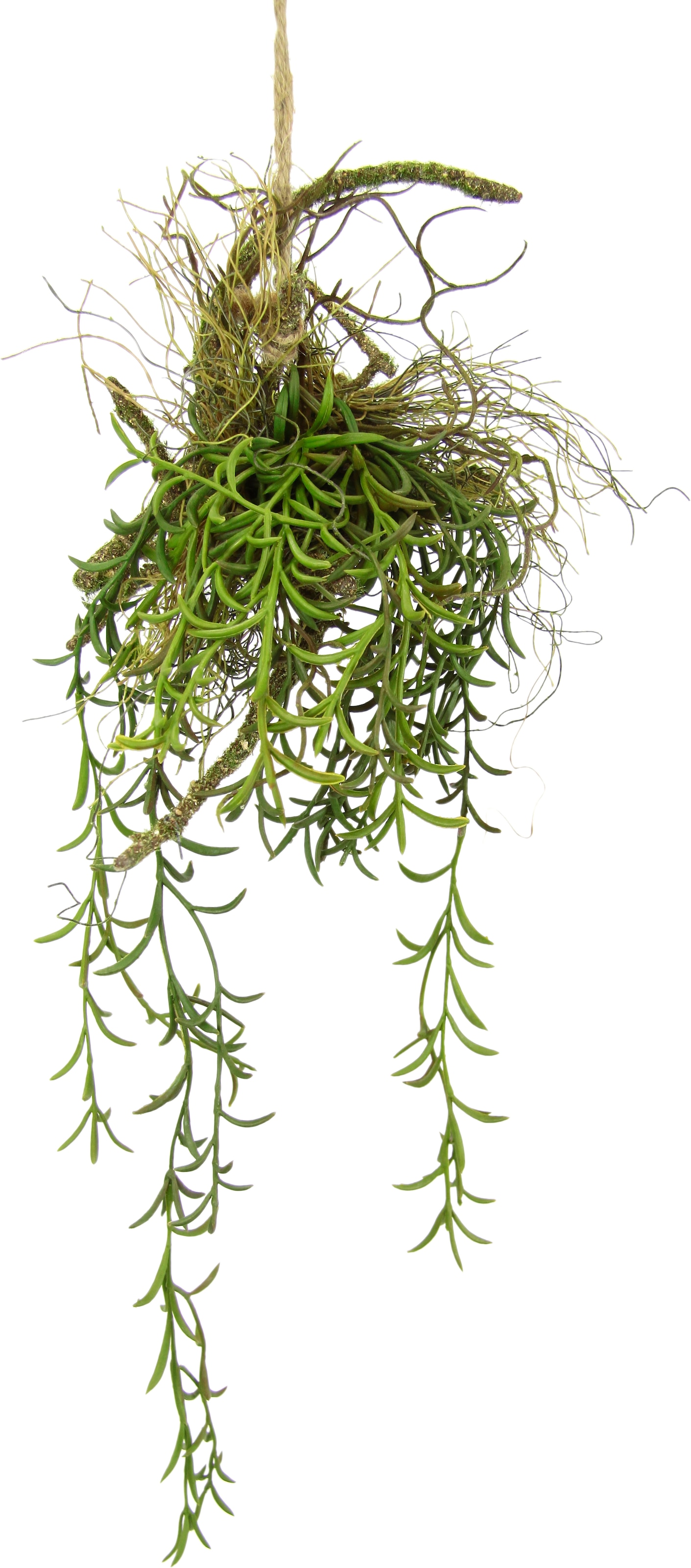 Kunstpflanze »Tillandsia«, Hänger auf Ast Künstlicher Moos Hängeampel Kunstpflanze