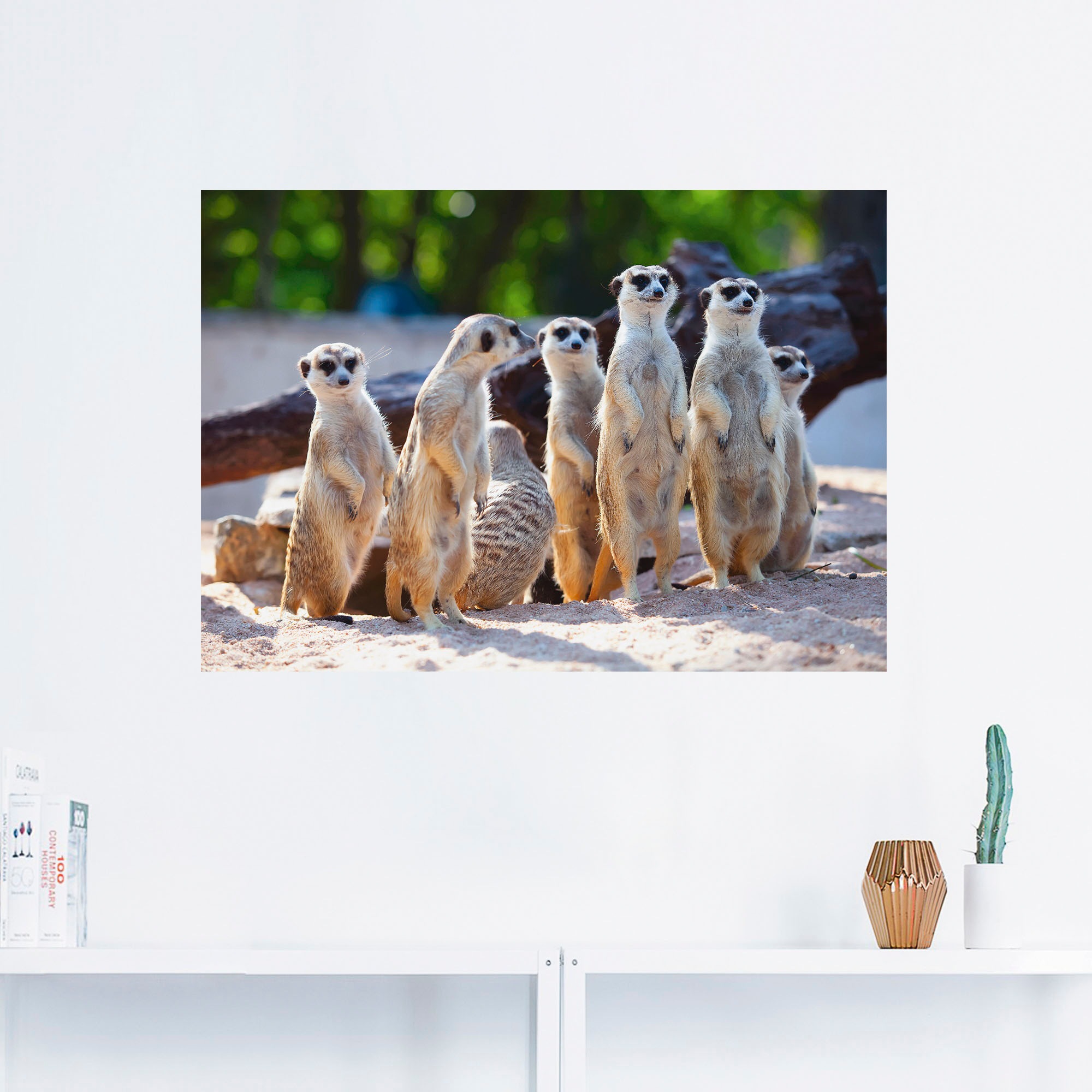 Artland Wandbild "Erdmännchenfamilie", Wildtiere, (1 St.), als Poster, Wand günstig online kaufen