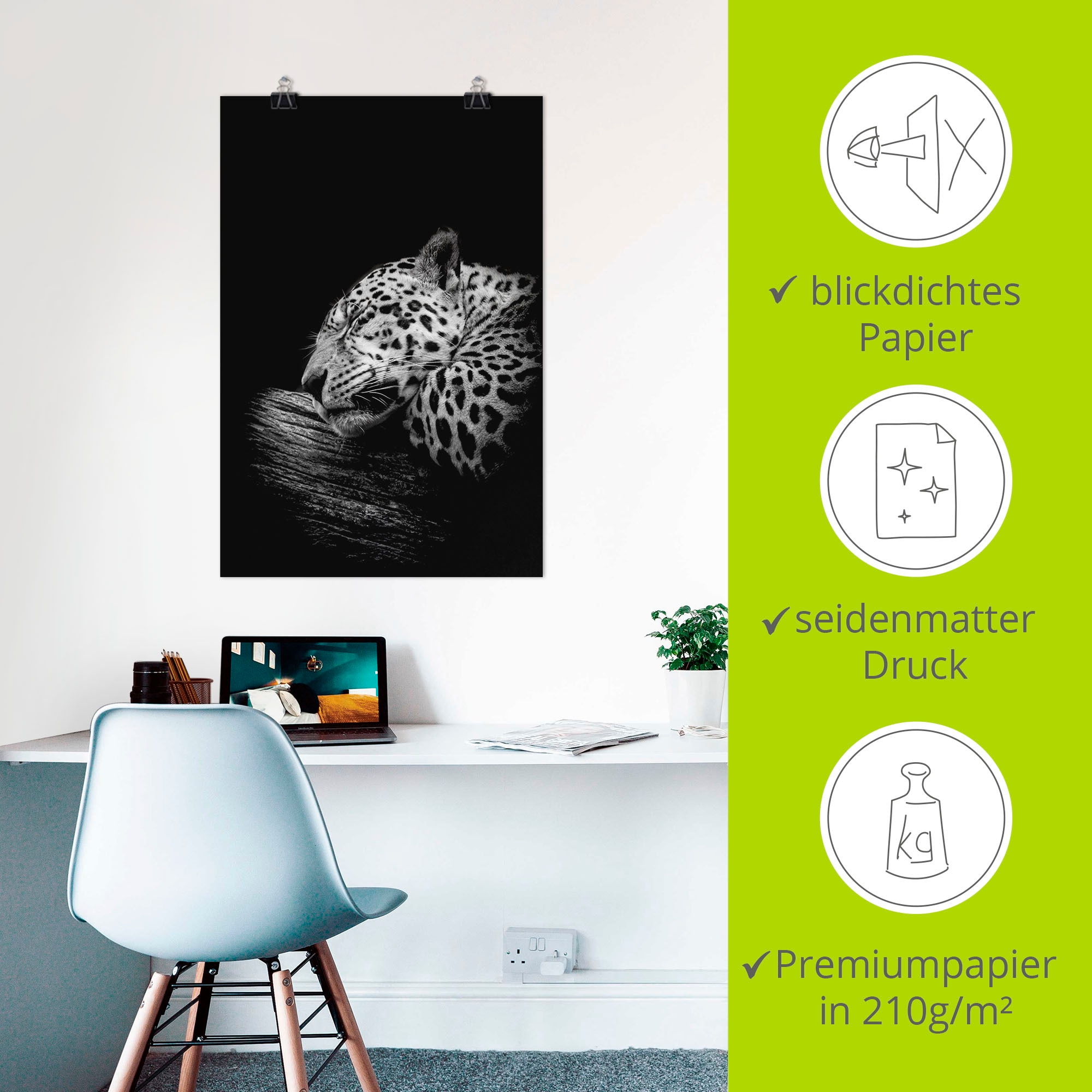 Artland Wandbild »Der schlafende Jaguar« Wildtiere 1 Stk. tlg. als Alubild, Poster in verschied. Größen