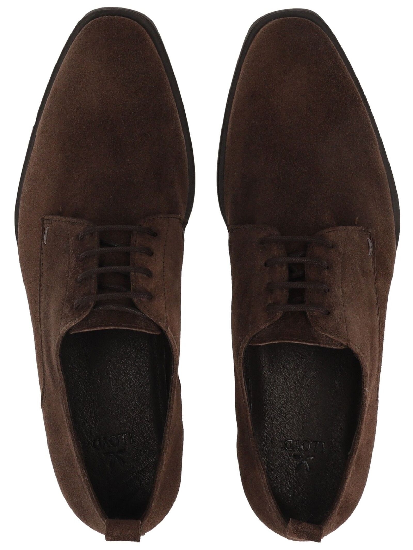 Lloyd Schnürschuh »LLOYD Halbschuhe Veloursleder«