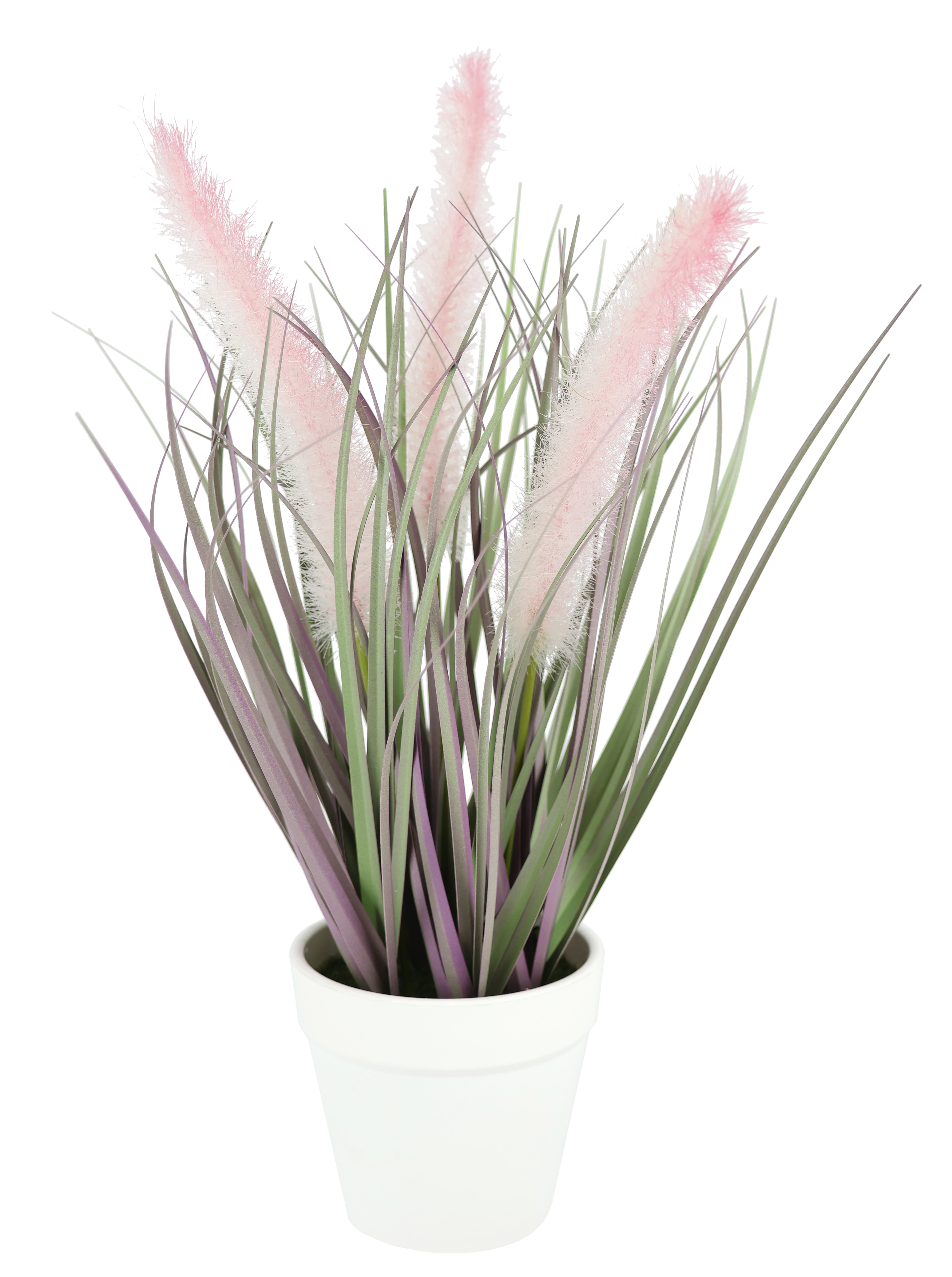 I.GE.A. Kunstpflanze "Ziergras mit rosa Federblüten im weißen Topf, 35 cm hoch" Grasbusch Dekogras Dekopflanze