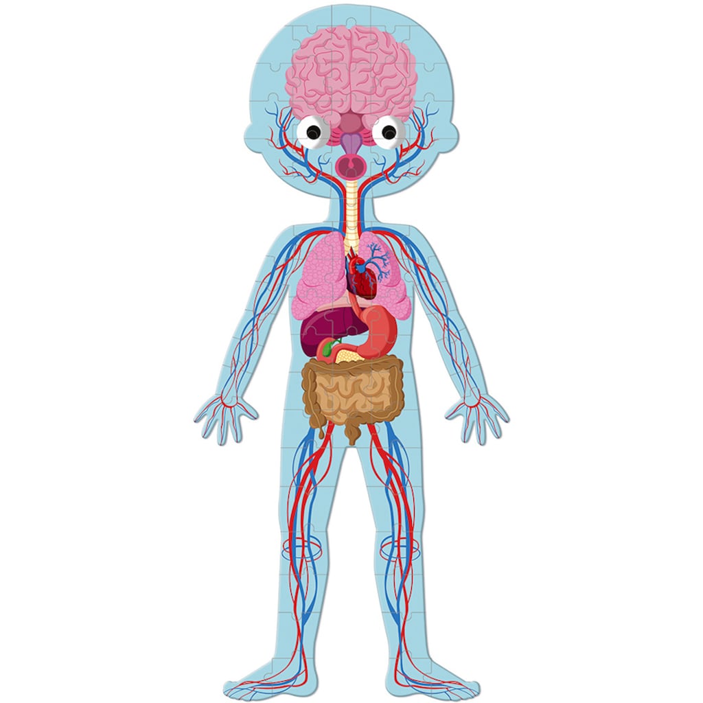 Janod Konturenpuzzle »Der menschliche Körper«