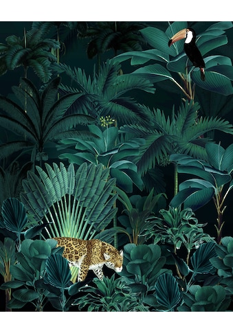 Komar Vliestapete »Jungle Night« 200x250 cm ...