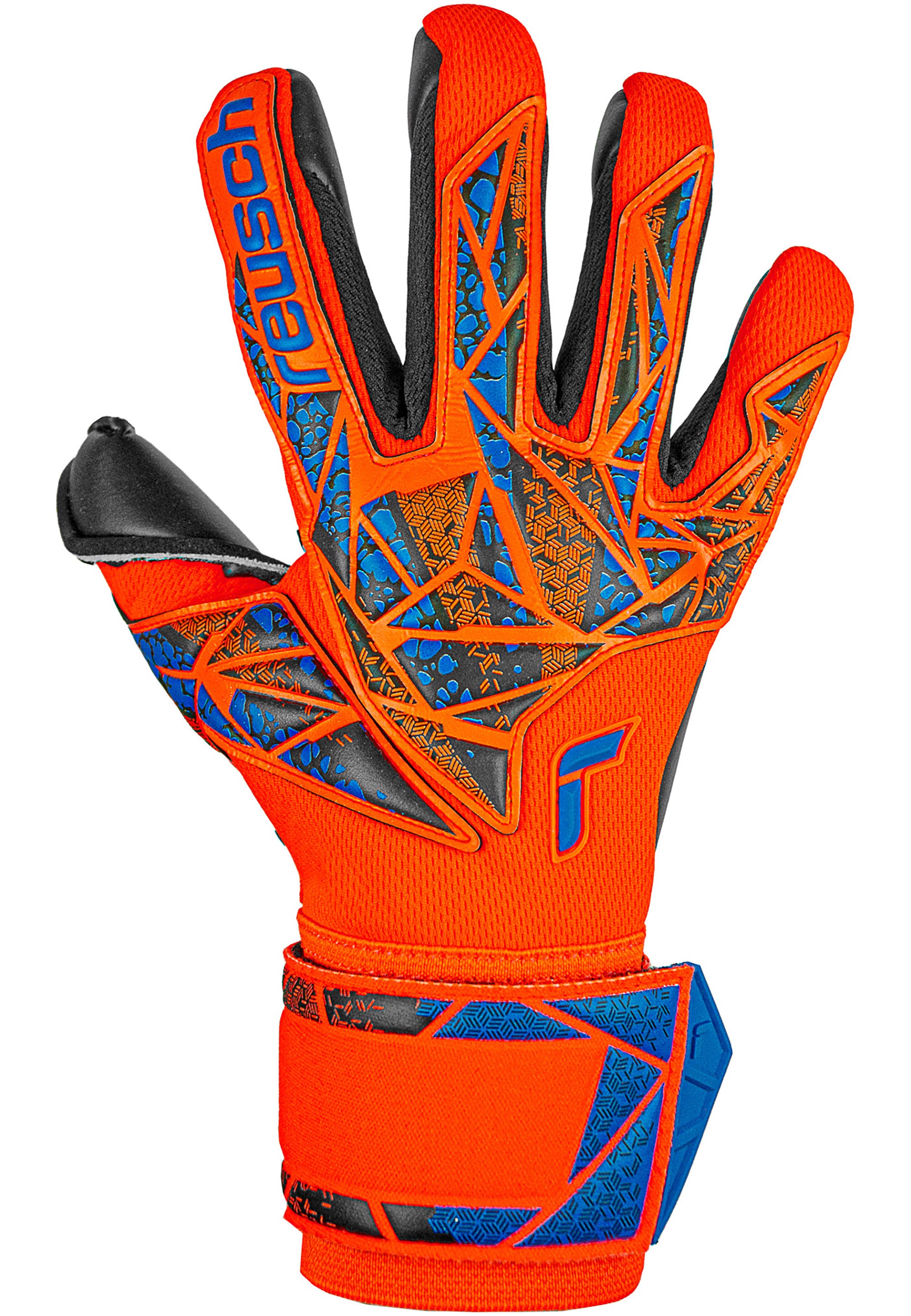 Reusch Torwarthandschuhe "Attrakt Duo", mit Evolution Negative Cut günstig online kaufen