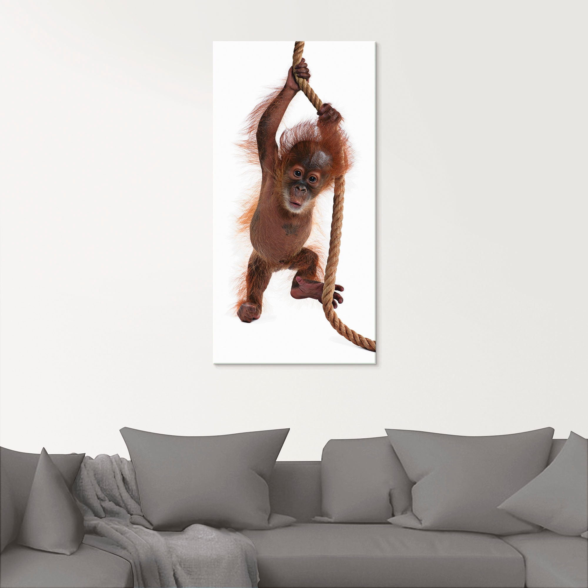 Artland Glasbild »Baby Orang Utan hängt am Seil I«, Wildtiere, (1 St.), in verschiedenen Größen