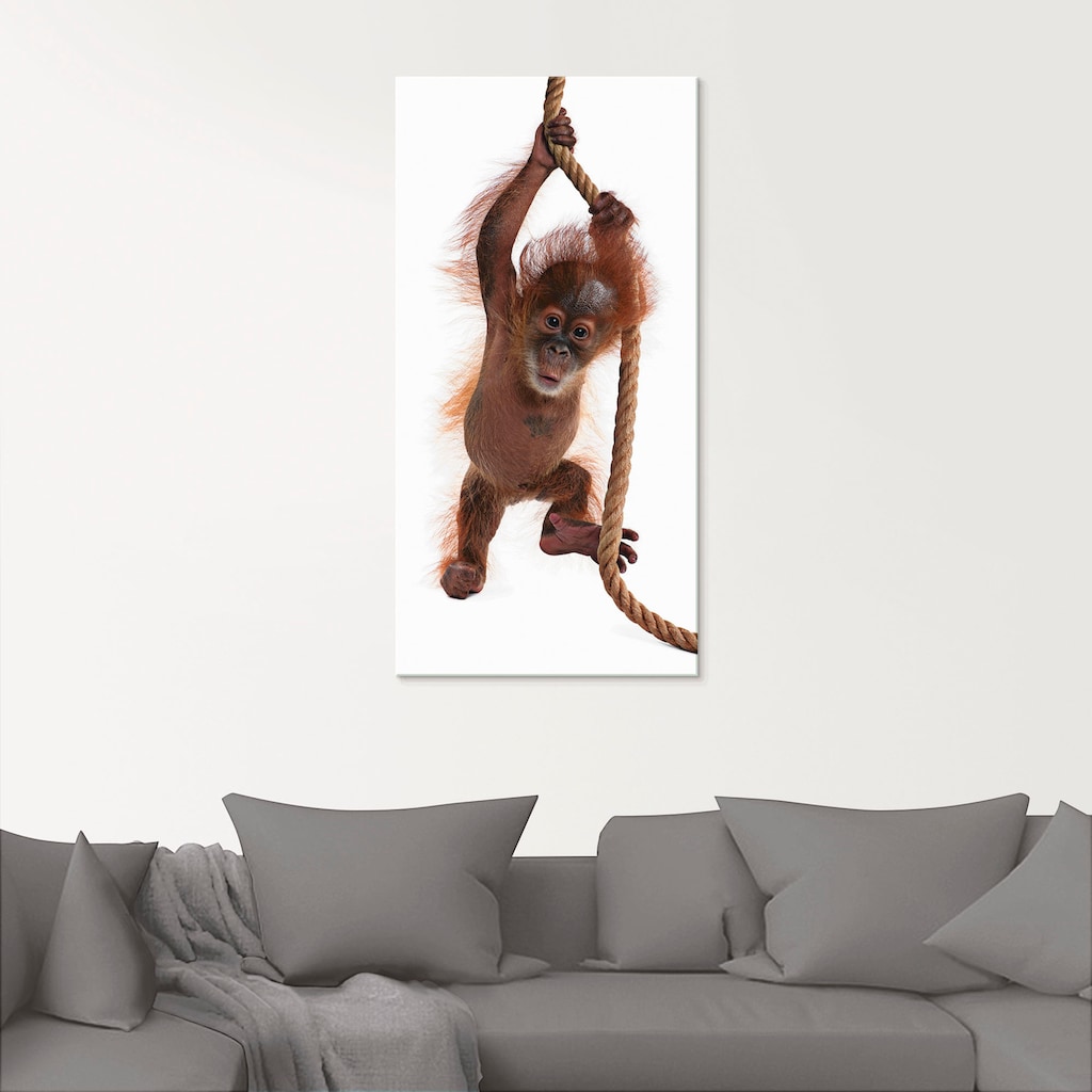 Artland Glasbild »Baby Orang Utan hängt am Seil I«, Wildtiere, (1 St.)