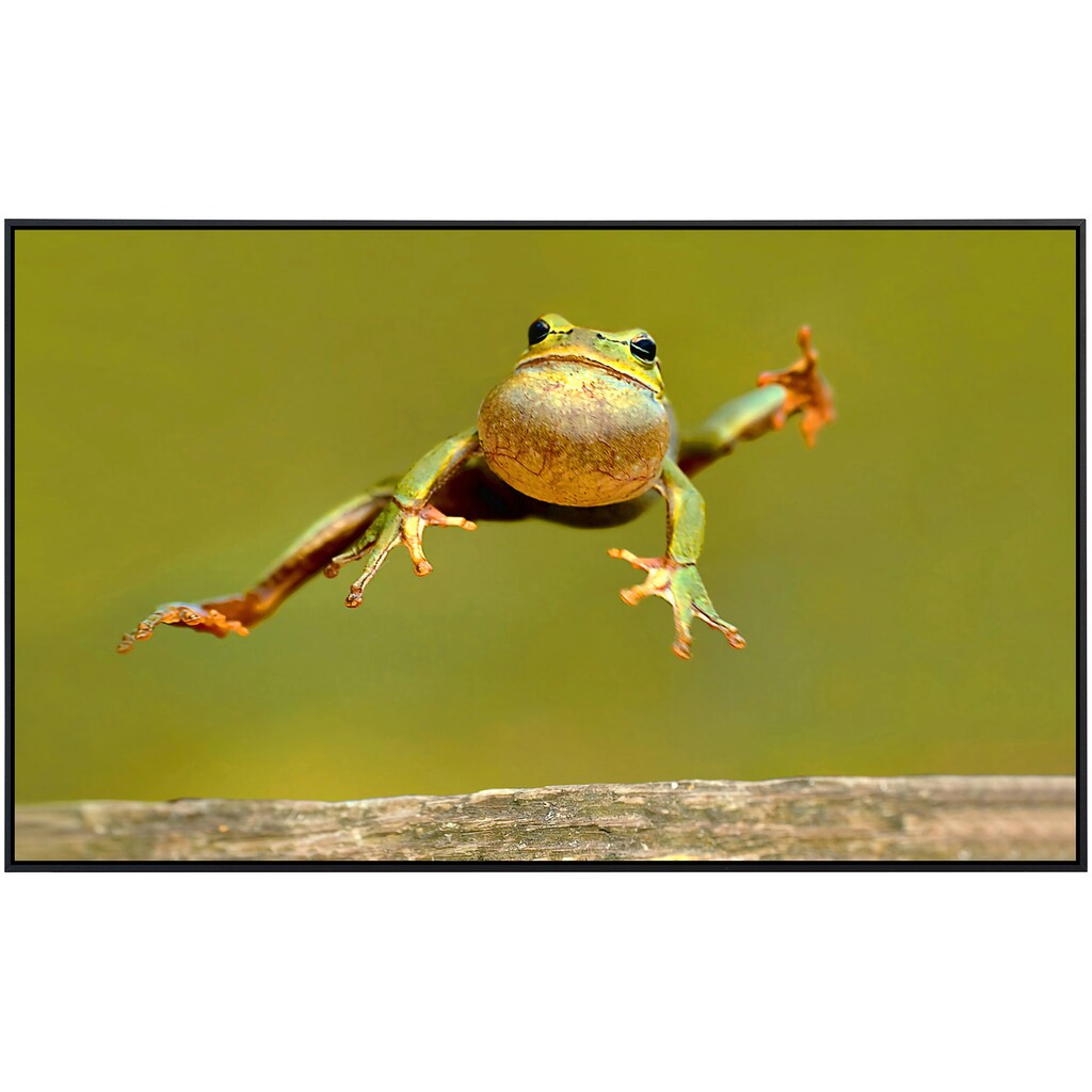 Papermoon Infrarotheizung »Springender Frosch«