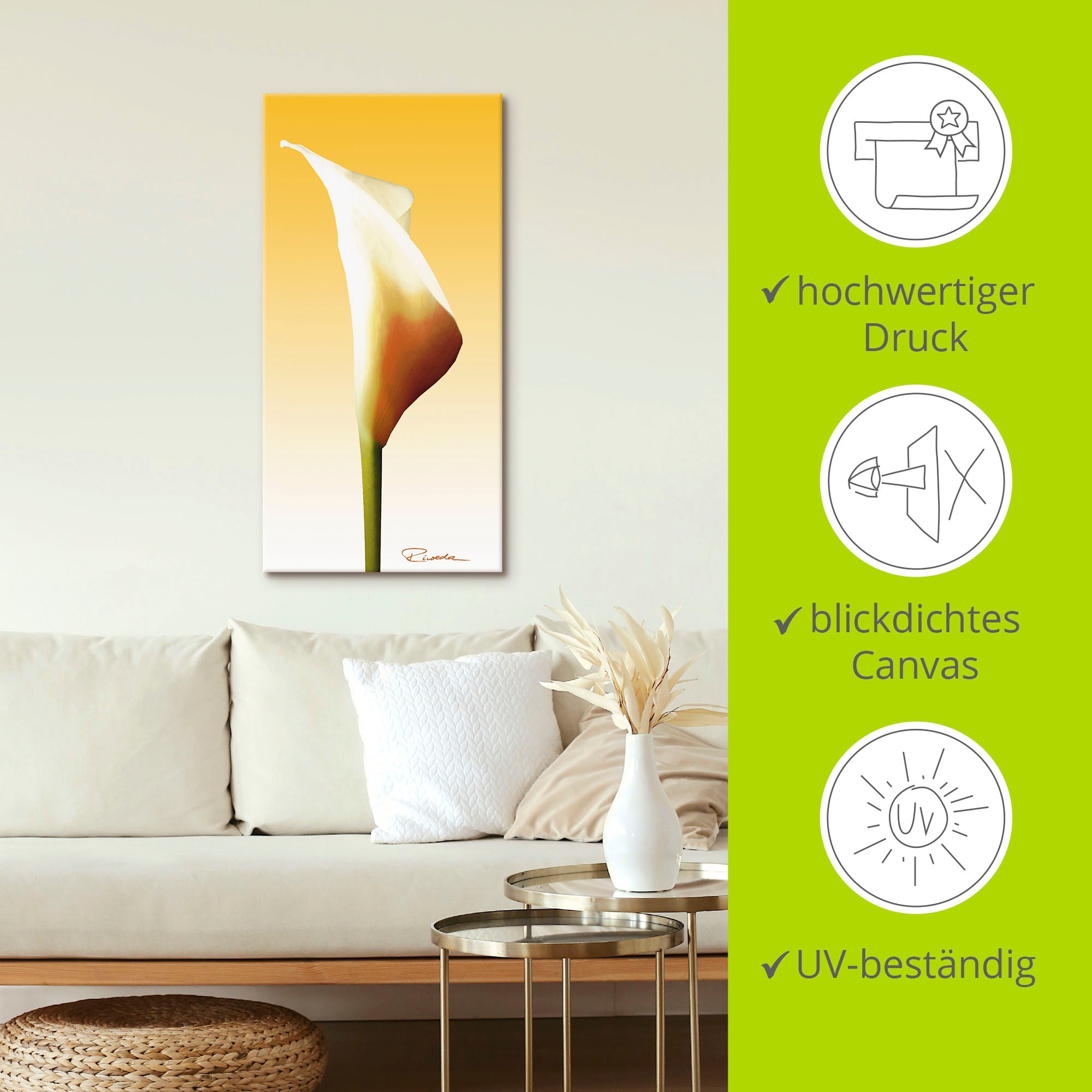Artland Leinwandbild »Sonnenschein Calla I«, Blumenbilder, (1 St.), auf Keilrahmen gespannt