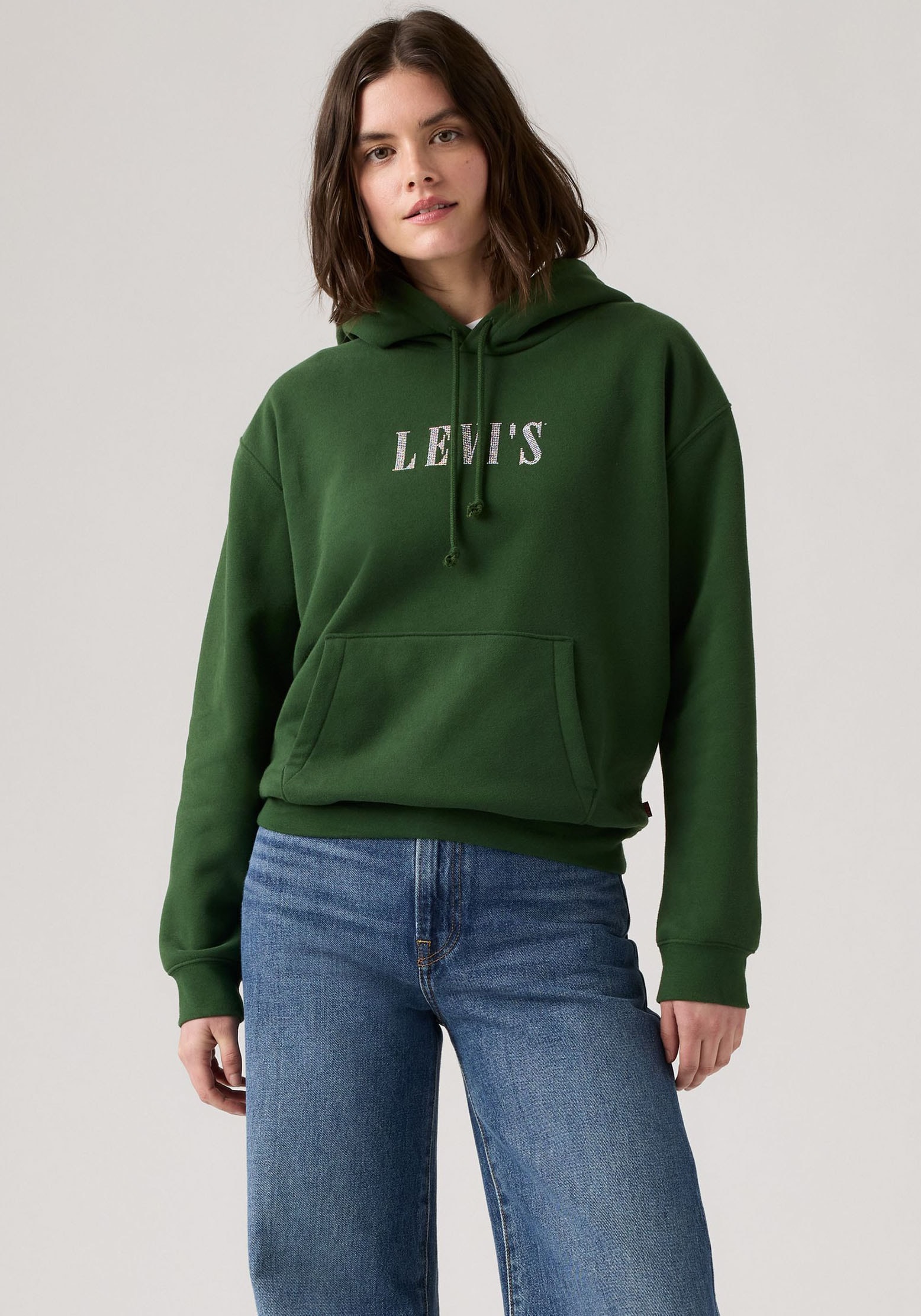 Levis Hoodie "GRAPHIC EVERYDAY" mit Kapuze günstig online kaufen