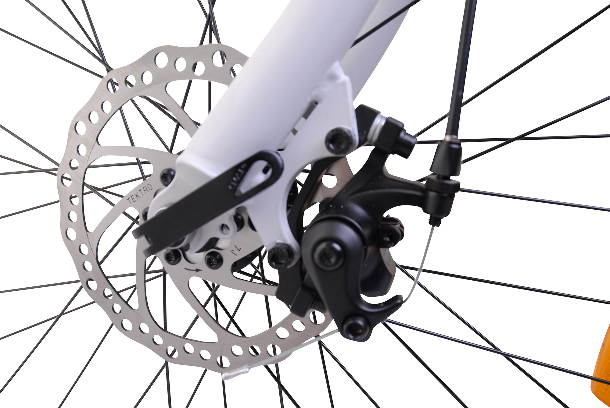 LLobe E-Bike »Voga Bianco«, 21 Gang, Shimano, Heckmotor 250 W, Pedelec, Elektrofahrrad für Damen u. Herren