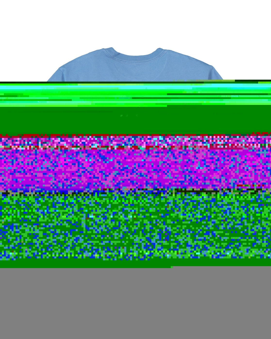 Quiksilver T-Shirt "Salt Water 2024" günstig online kaufen