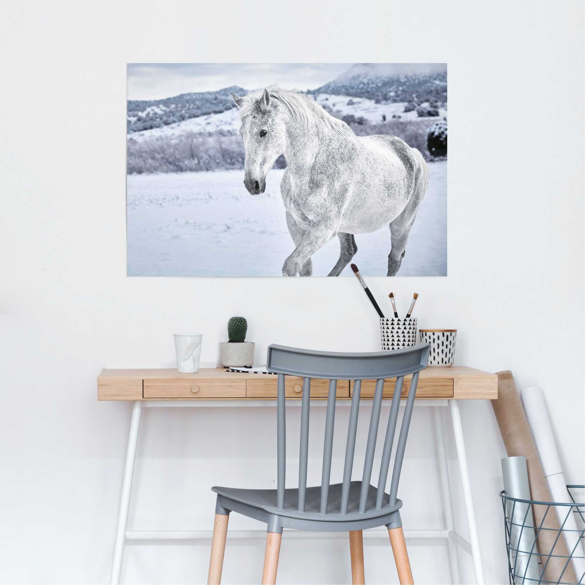 Reinders Poster "Pferd im Schnee", (1 St.) günstig online kaufen
