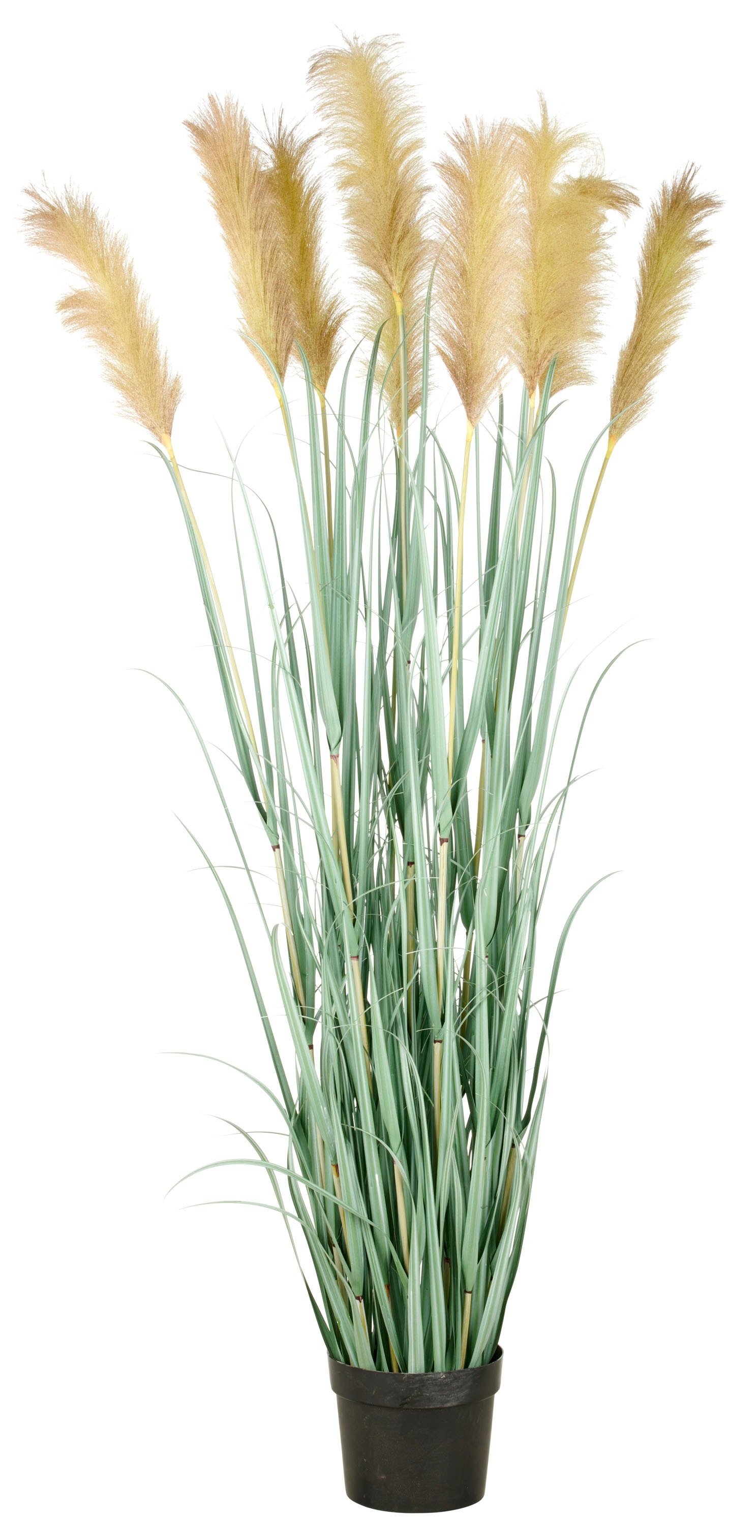Creativ green Kunstgras "Grasbusch Cortaderia", in opulenter Größe günstig online kaufen
