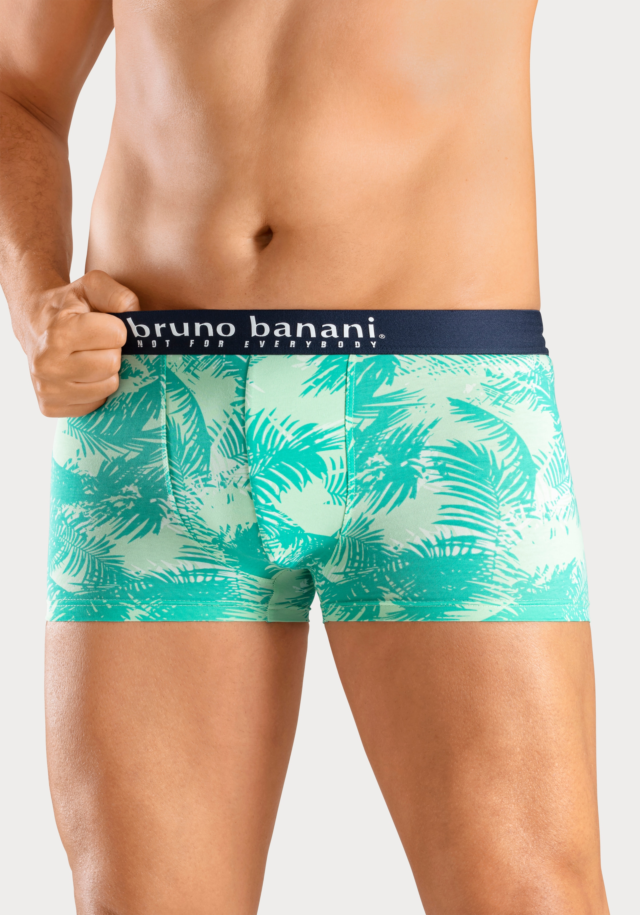 Bruno Banani Boxer »Boxershorts für Herren«, (Packung, 4 St., 4er-Pack), mit Palmendruck und unifarben aus Baumwollmischung