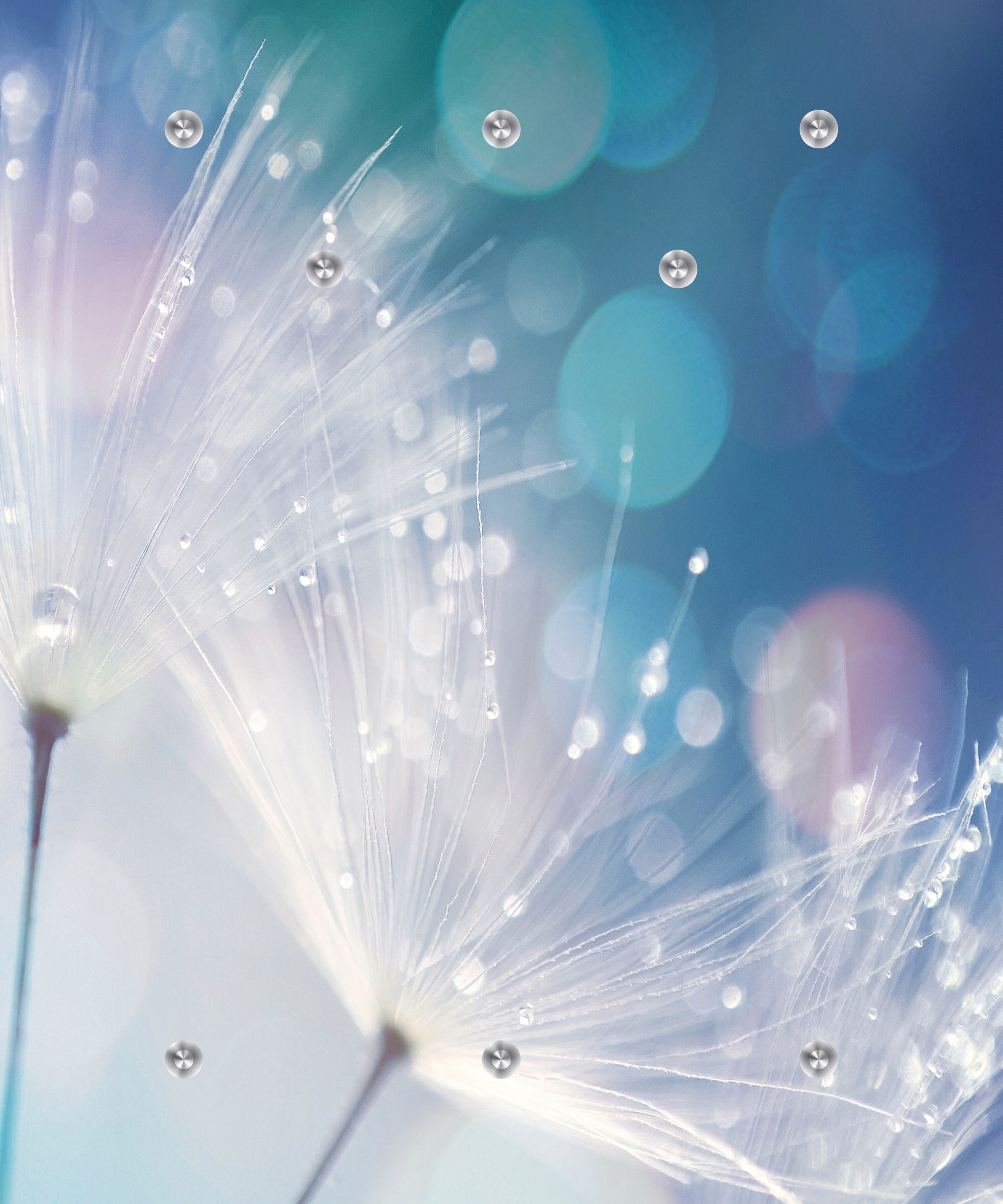 queence Garderobenleiste »Dandelion«, Wand Garderobe, Pflanze, Pusteblume, platzsparend
