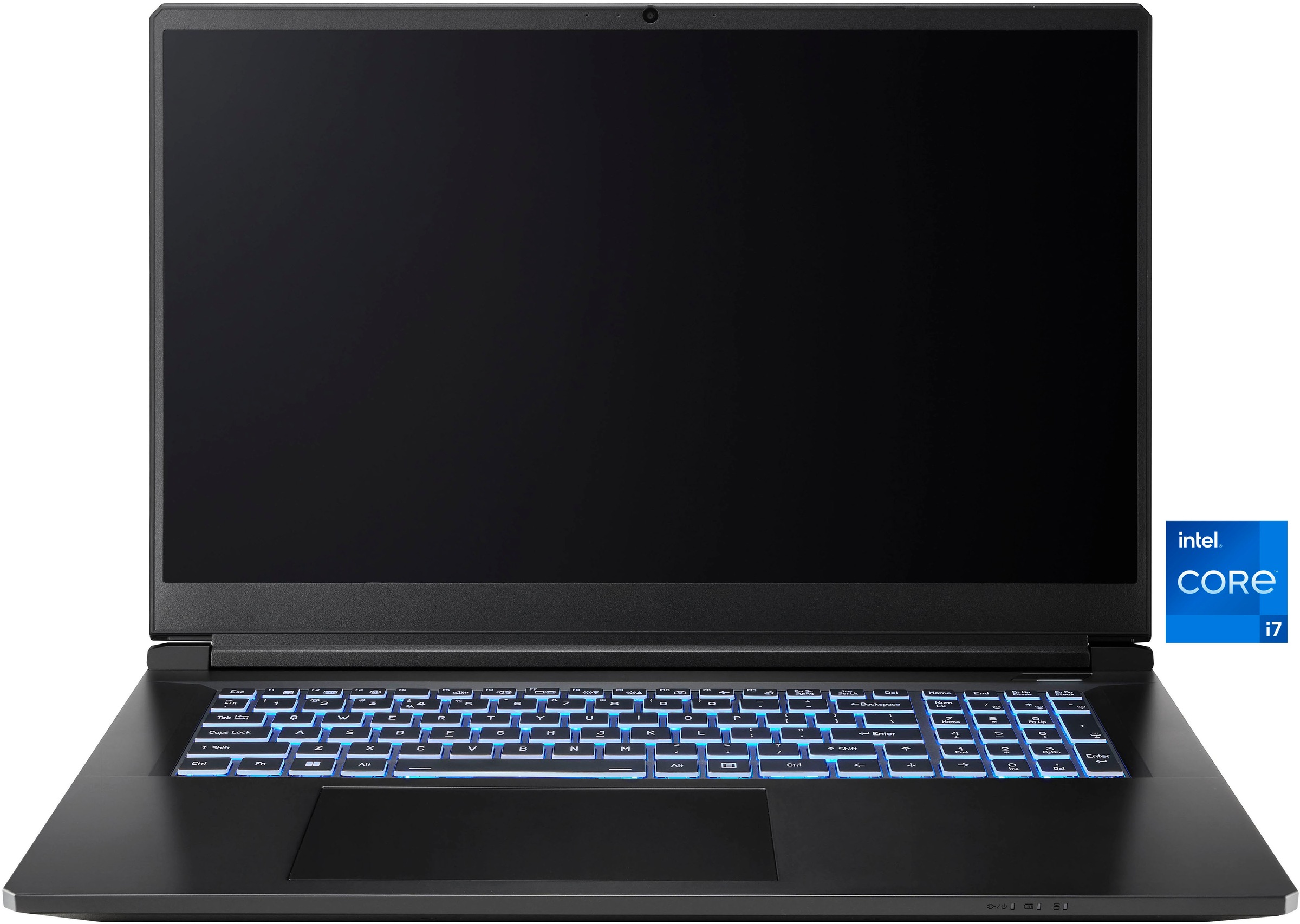 CAPTIVA Gaming-Notebook »Entry Gaming I10-1123GE« 43,9 cm / 17,3 ″ Intel Core i7 GeForce RTX 5060 2.000 GB SSD
