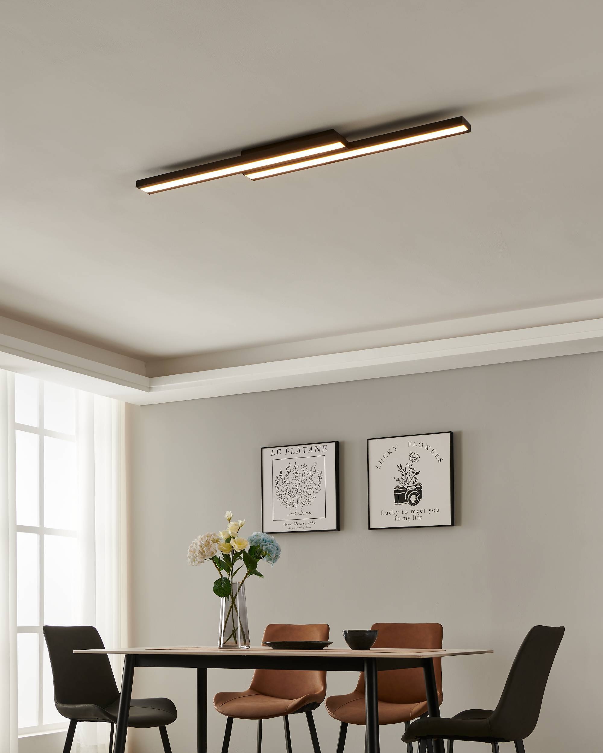 EGLO Deckenleuchte »SALITERAS-Z« in schwarz aus Stahl / inkl. LED fest integriert - 2 x 10,2 Watt