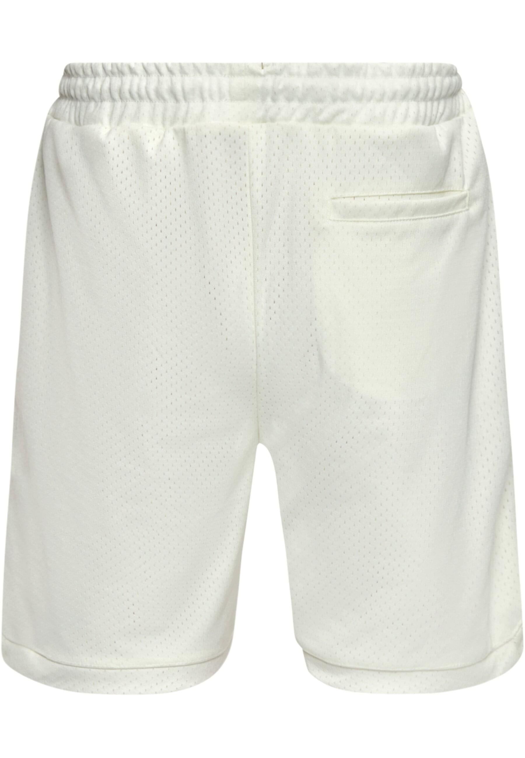 Dropsize Shorts »Dropsize Herren Dropsize V2 Mesh Shorts«, (1 tlg.)