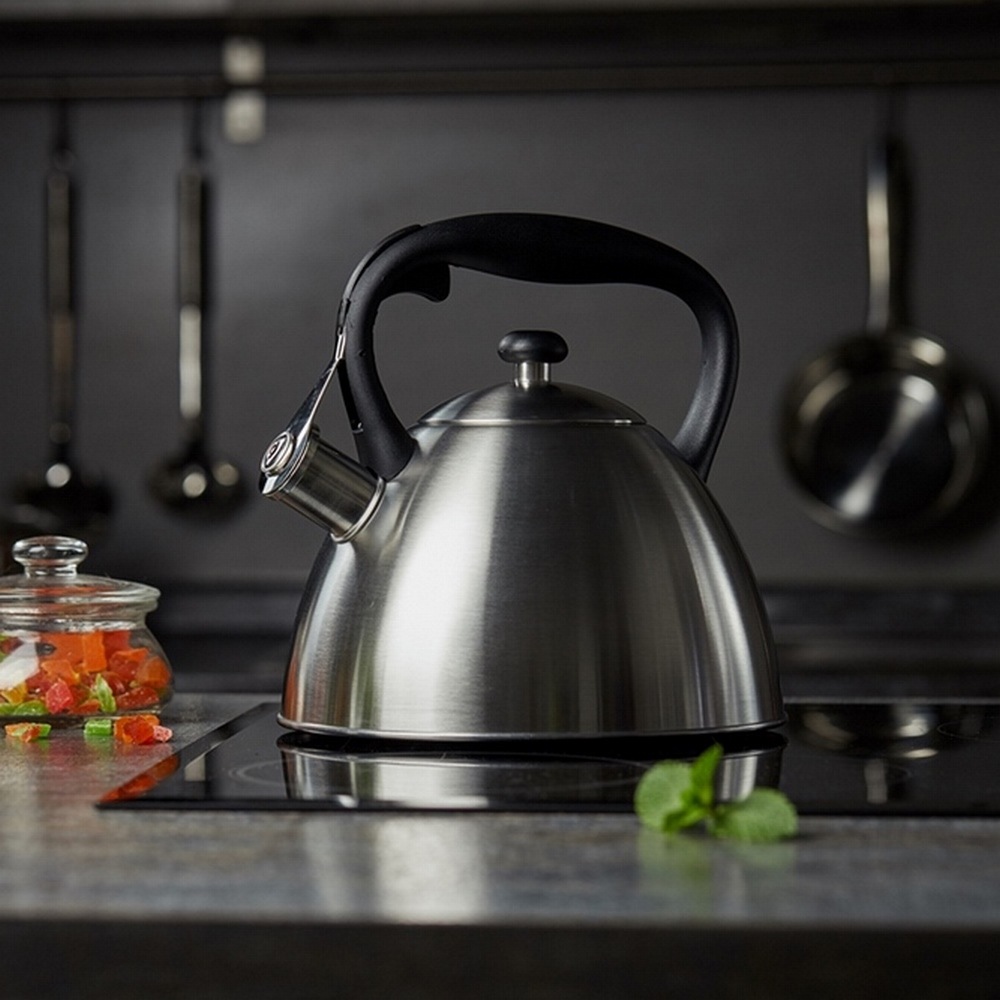 RESTO Kitchenware Wasserkessel »Gemini, Flötenkessel 3 l mit wärmespeicherndem Boden im Geschenkkarton«, Edelstahl, (1 tlg.), mit ergonomischem, wärmeableitenden Bakelit-Griff