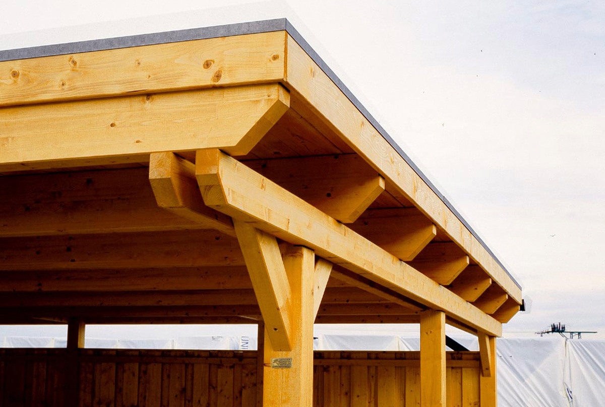 Skanholz Einzelcarport »Emsland«, Holz, 291 cm, natur, mit Abstellraum, versch. Farben