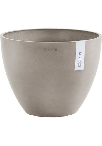 ECOPOTS Vazonas gėlėms »ANTWERP Taupe« BxTxH: ...