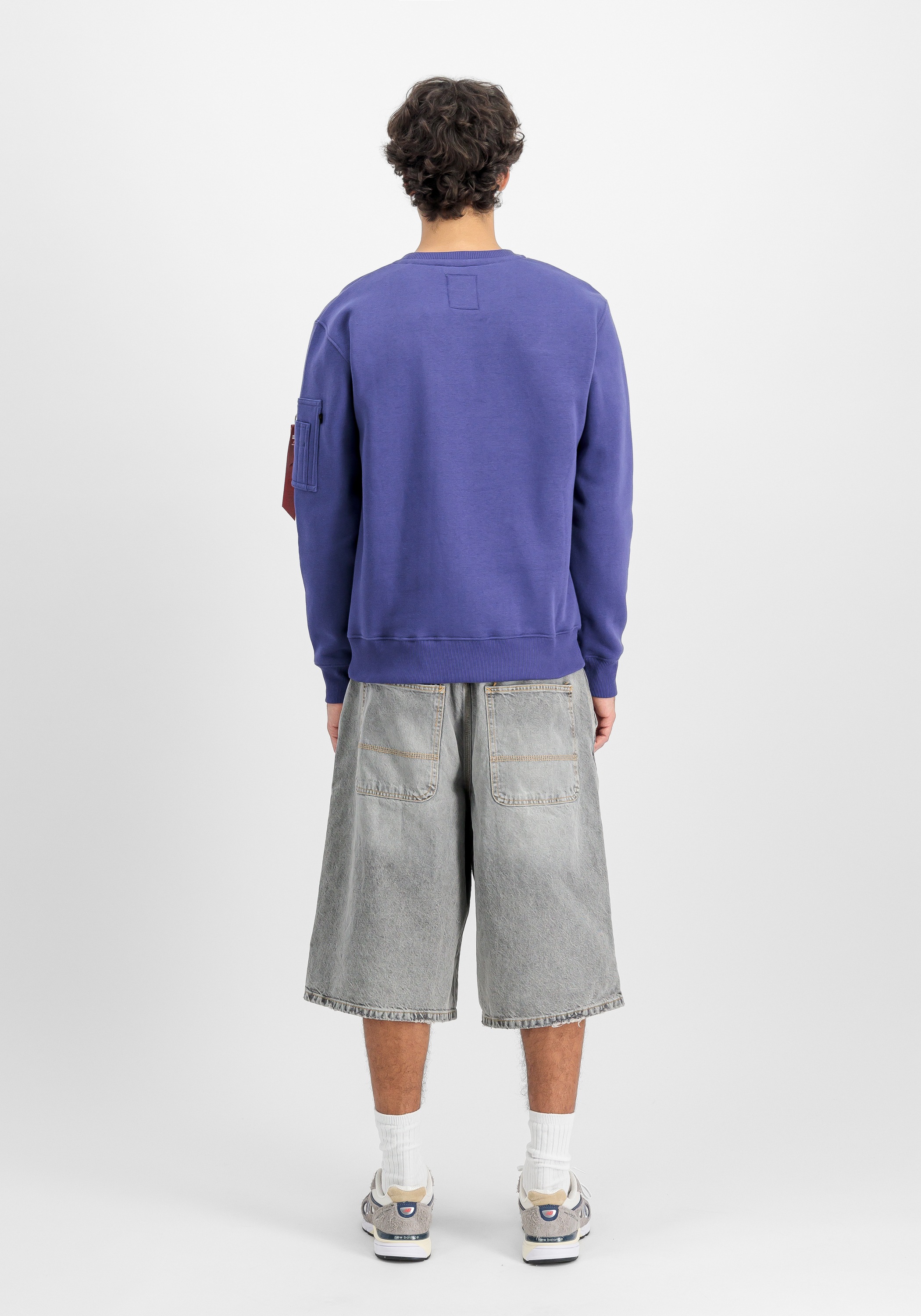 Alpha Industries Sweater »Alpha Industries Men - Sweatshirts Alpha Refl. Print Sweater«