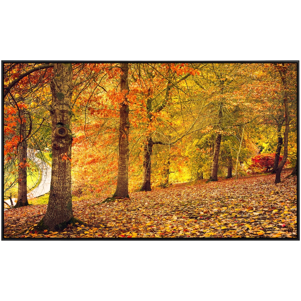 Papermoon Infrarotheizung »Herbstwald«