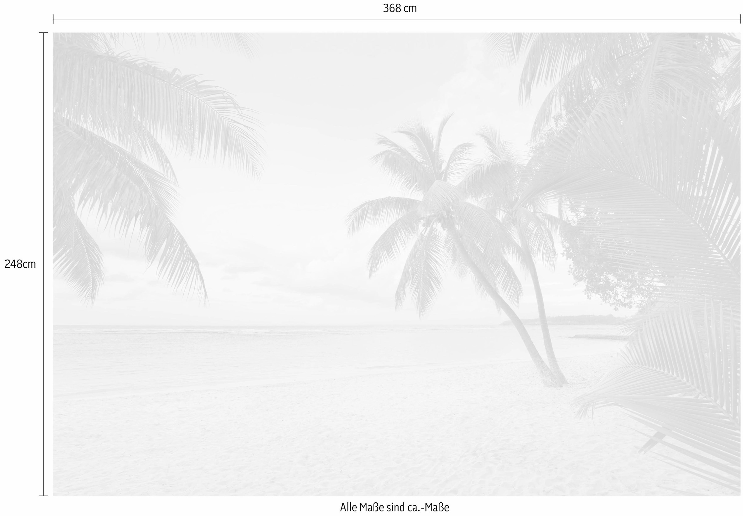 Komar Vliestapete »Paradise Morning«, kaufen Höhe), | Kleister x BAUR online cm (Breite inklusive 368x248