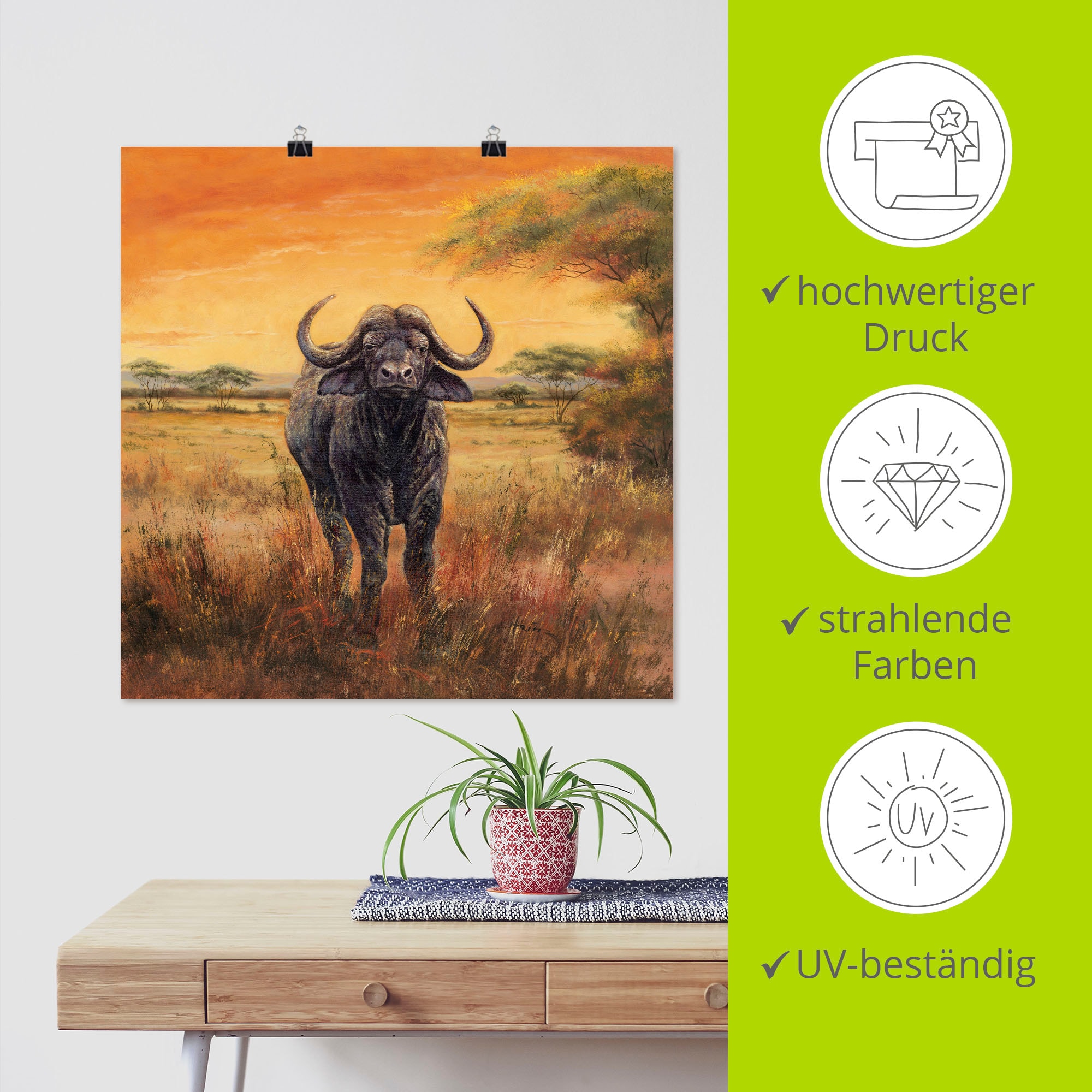 Artland Wandbild »Büffel«, Wildtiere, (1 St.), als Poster, Wandaufkleber in verschied. Größen