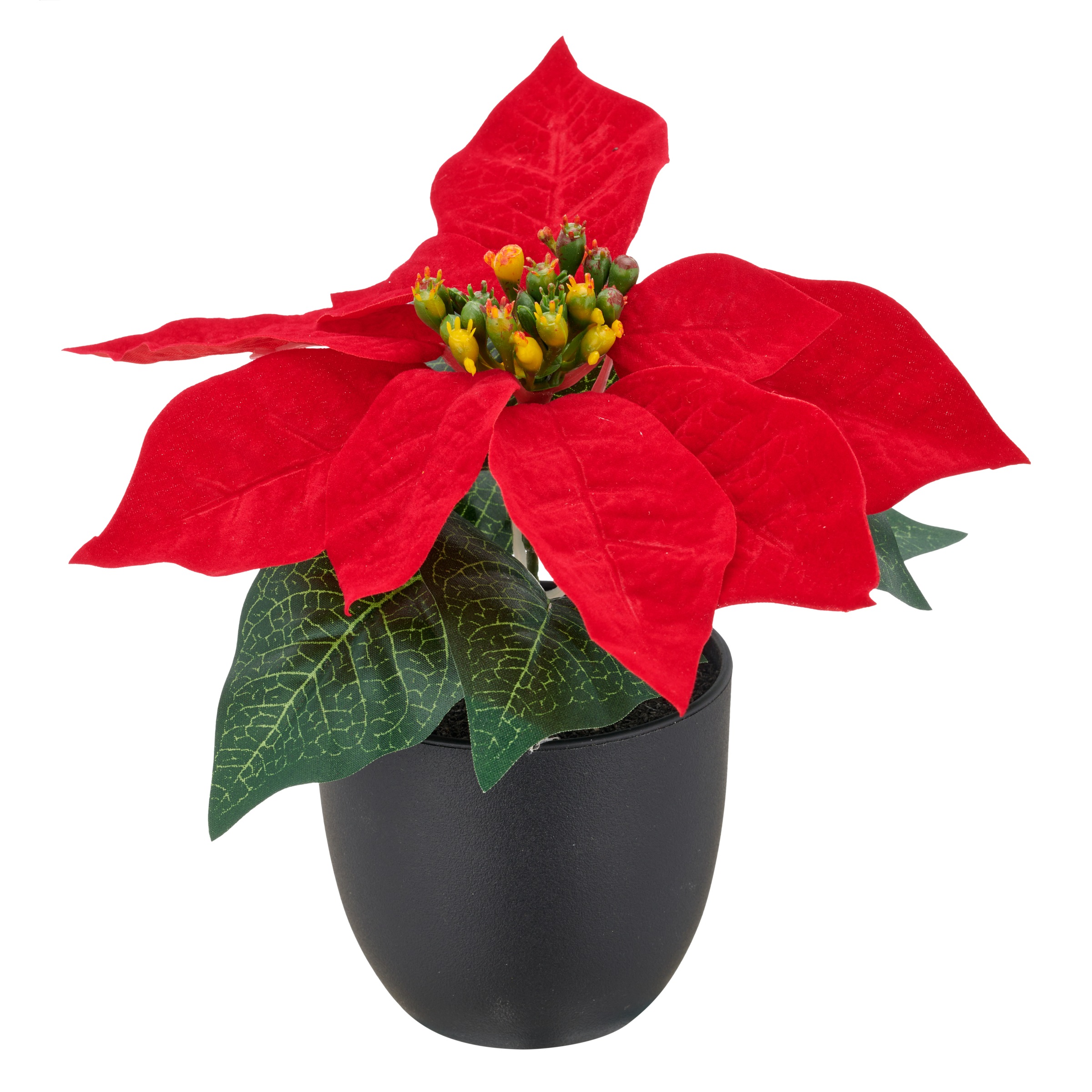 Creativ green Kunstblume "Weihnachtsstern" mit dauerhafter Blütenpracht günstig online kaufen