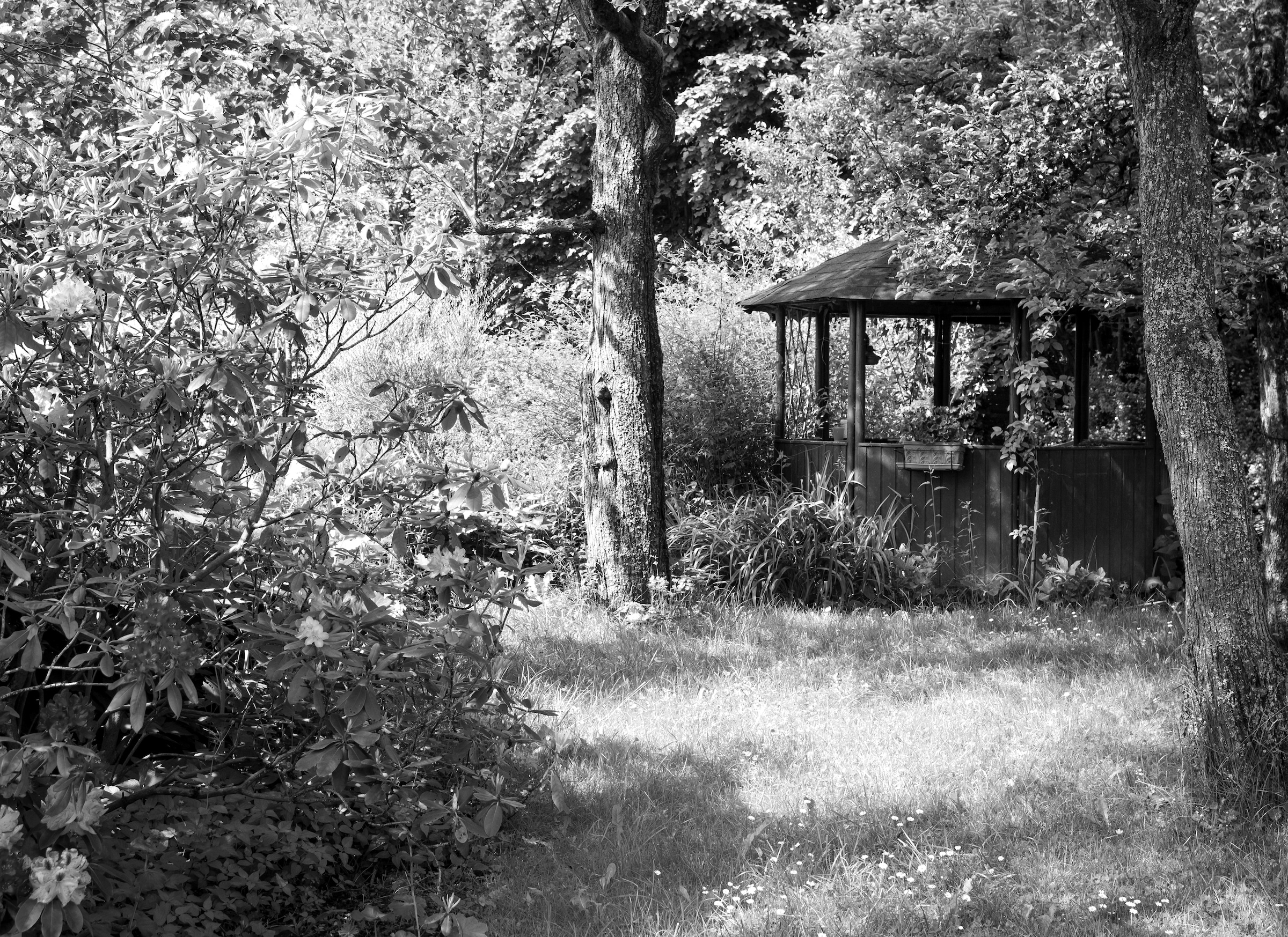 Papermoon "Garten Schwarz & Weiß"