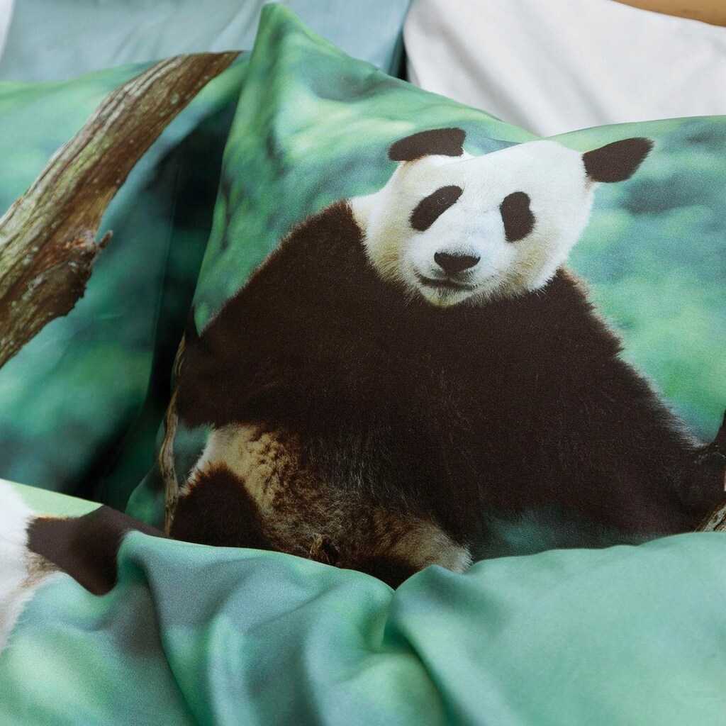 damai Bettwäsche »Panda«, (2 tlg.), mit einem Pandabären