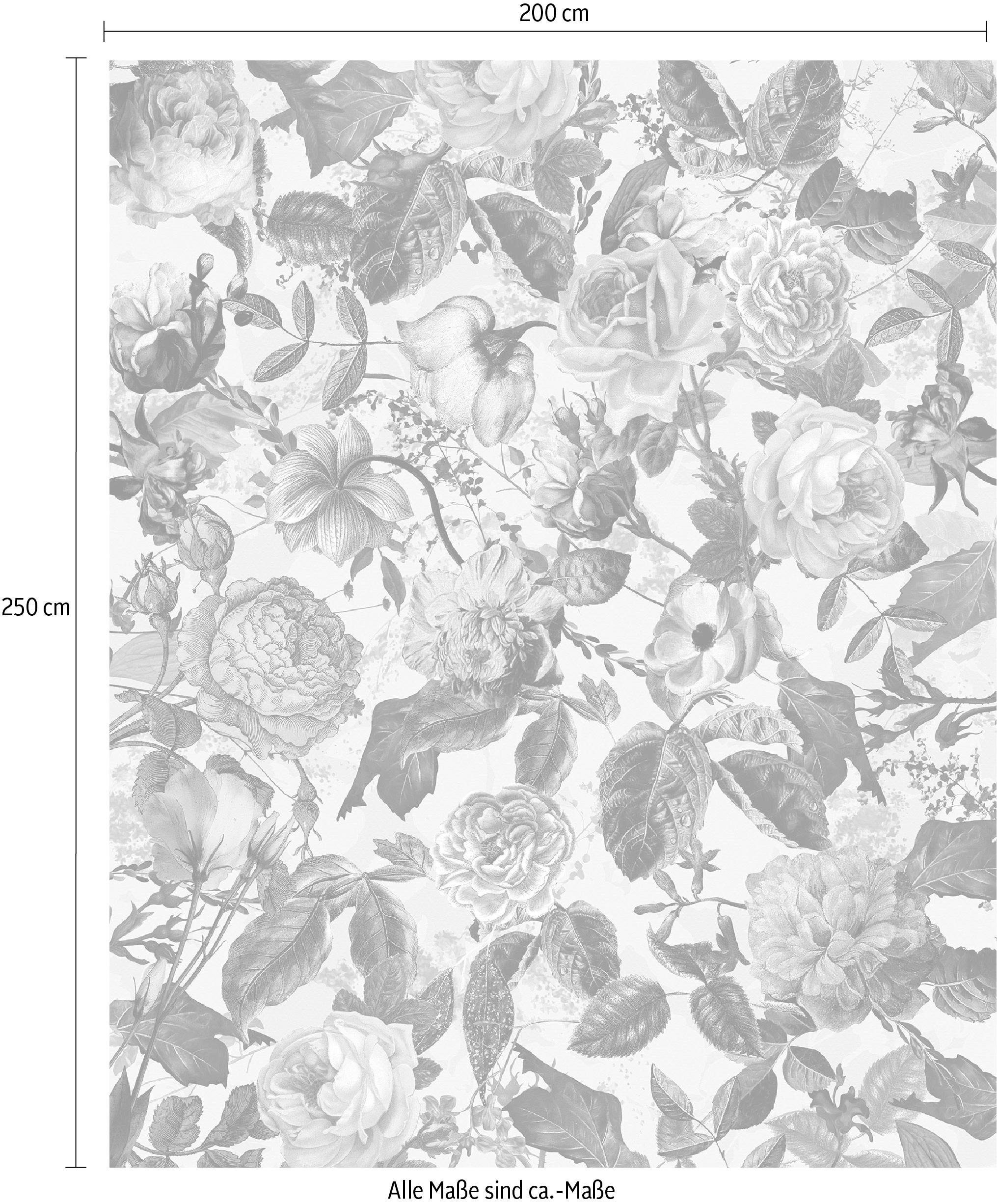 Komar Vliestapete »Digitaldruck Vlies -  Romance - Größe 200 x 250 cm« bedruckt glatt Wohnzimmer, Schlafzimmer