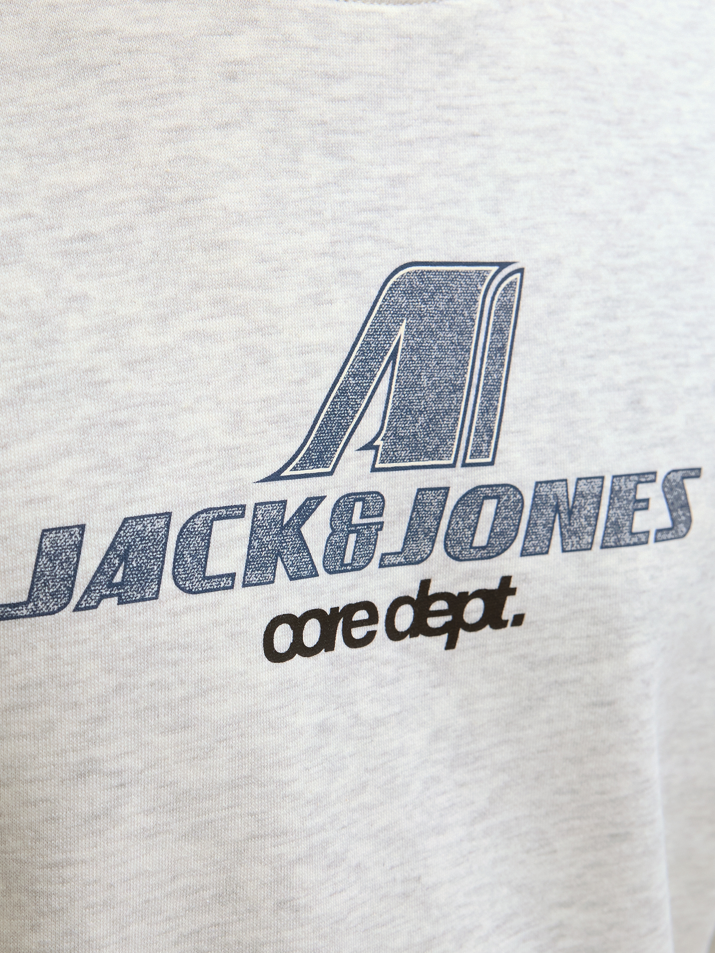 Jack & Jones Sweatshirt »JCOTIER PRINT SWEAT CREW NECK«