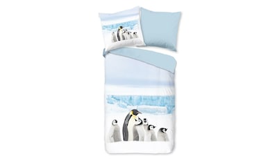 TRAUMSCHLAF Bettwäsche »Pinguin«, (2 tlg.), besonders weich und warm kaufen