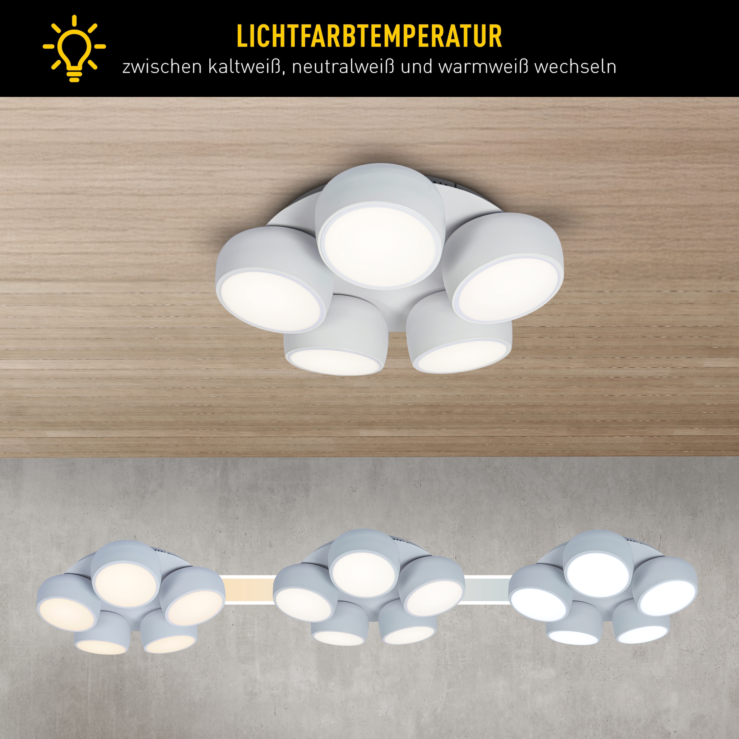 näve LED Deckenleuchte »Eliora« LED-Modul 1 Stk. warmweiß - kaltweiß LED, dimmbar, CCT, Memory, Nachtlicht, Funkfernbedienung, weiß