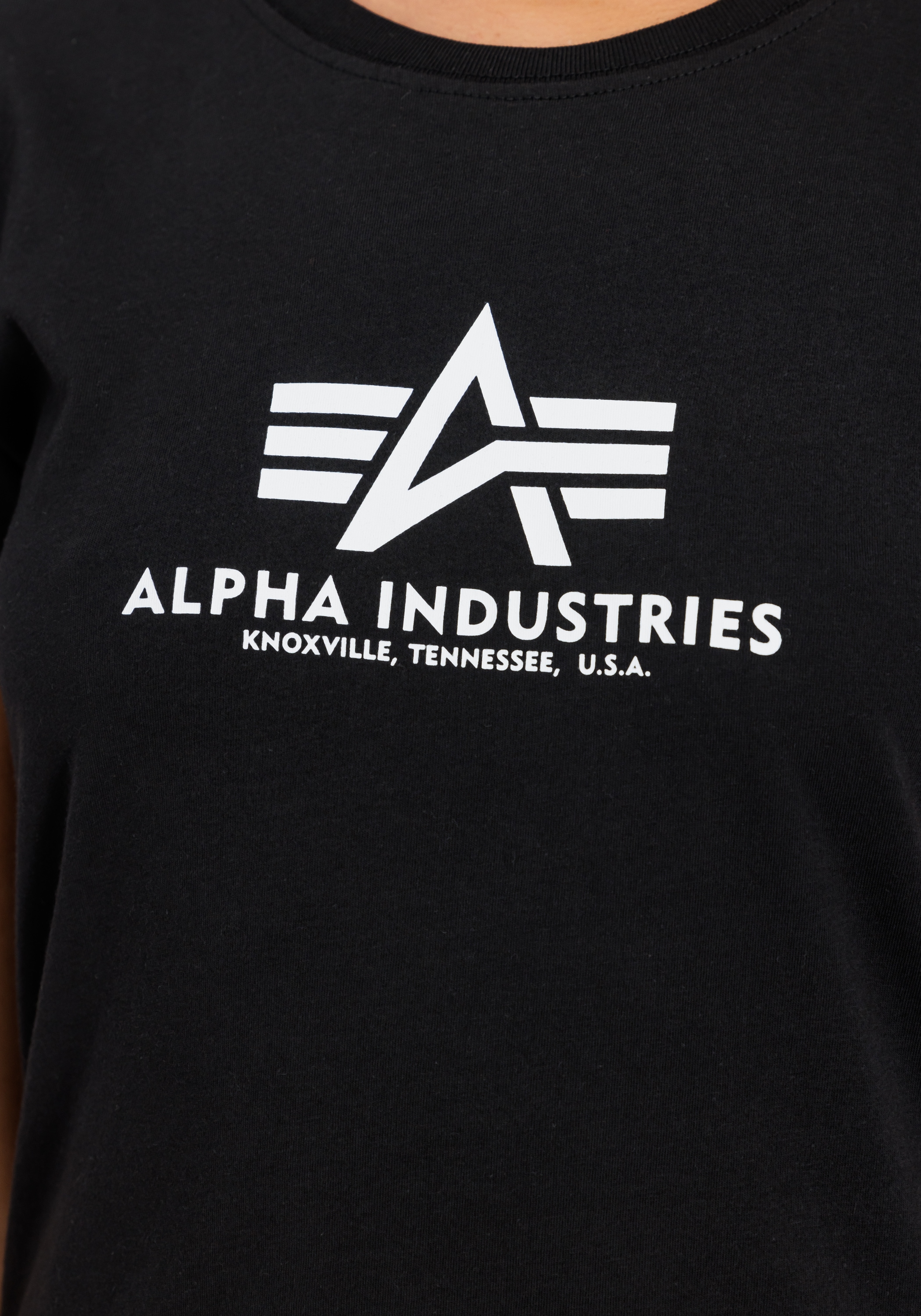 Alpha Industries T-Shirt »New Basic T-Shirt BL 2 Pack W«