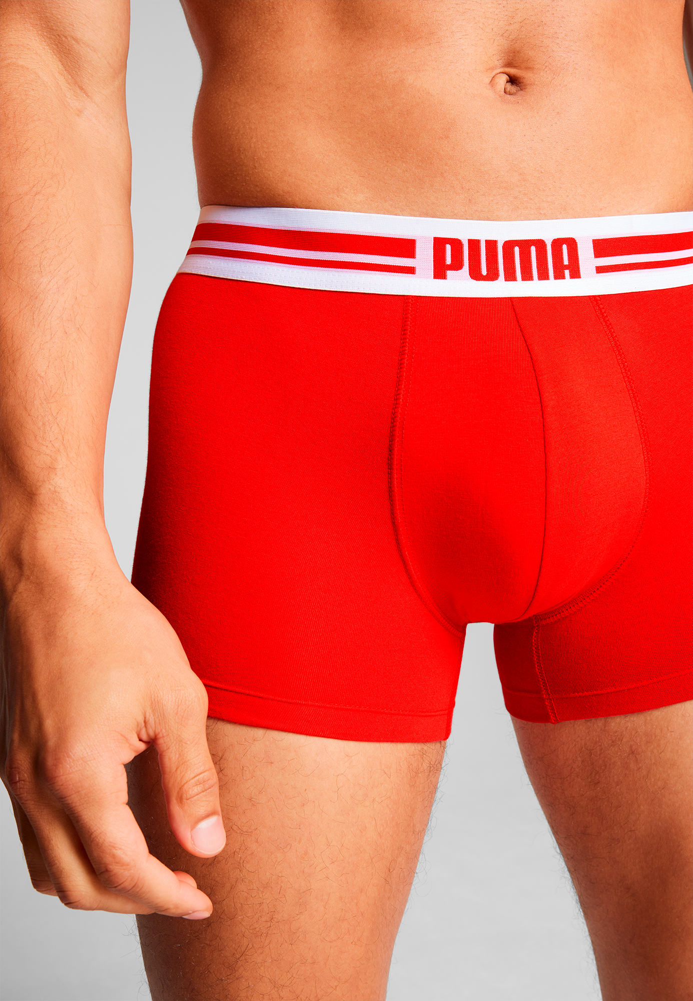 PUMA Boxershorts »PUMA MEN EVERYDAY PLACED LOGO BOXERS 2P« Packung, 2er Pack,  mit Logo Webbund