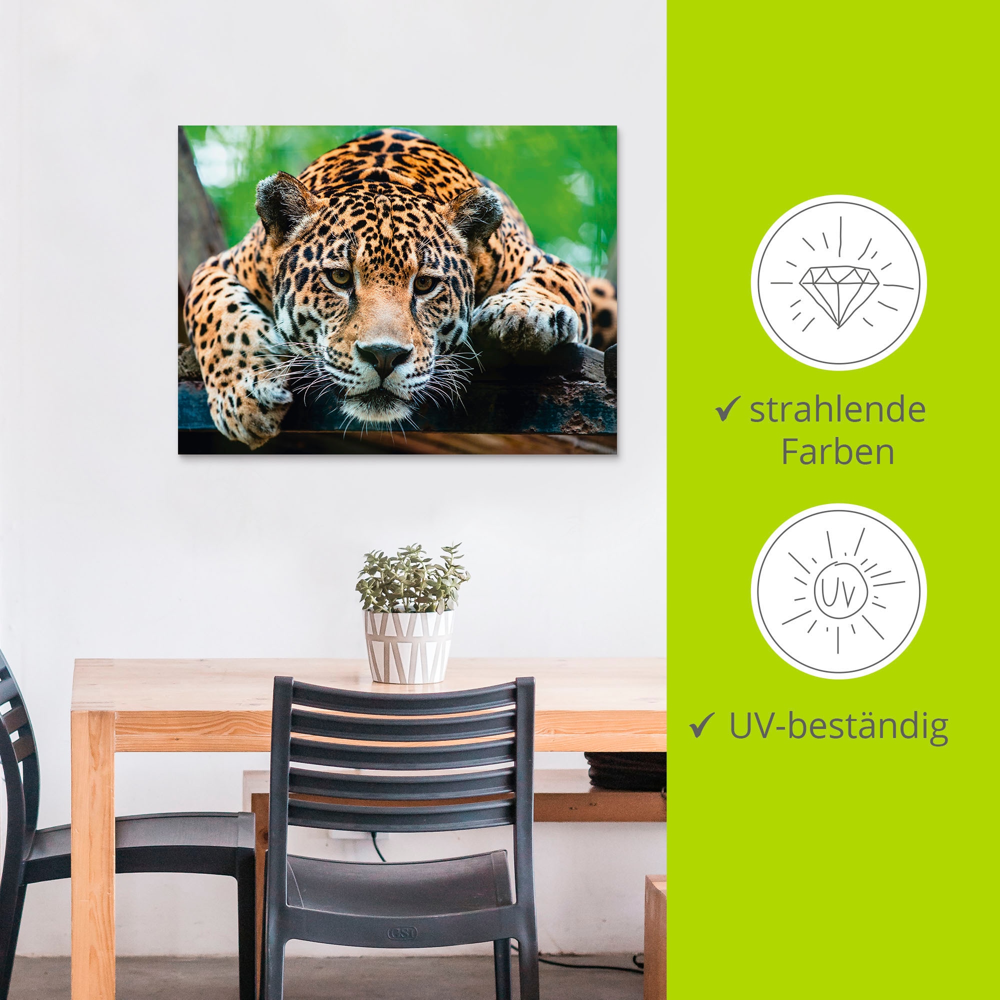 Artland Wandbild »Südamerikanischer Jaguar«, Wildtiere, (1 St.), als Alubild, Outdoorbild, Leinwandbild, Poster, Wandaufkleber
